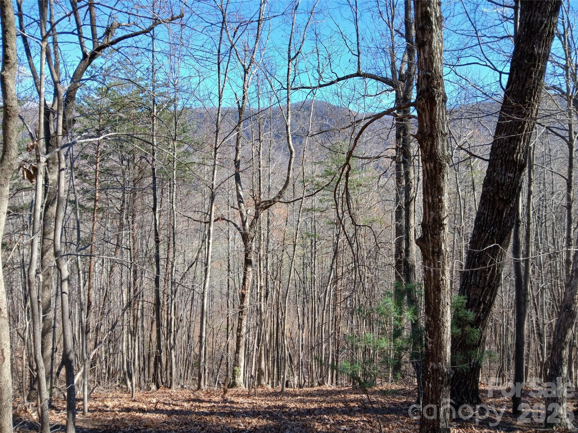 00 Piney Gate Road #39 - Photo 13