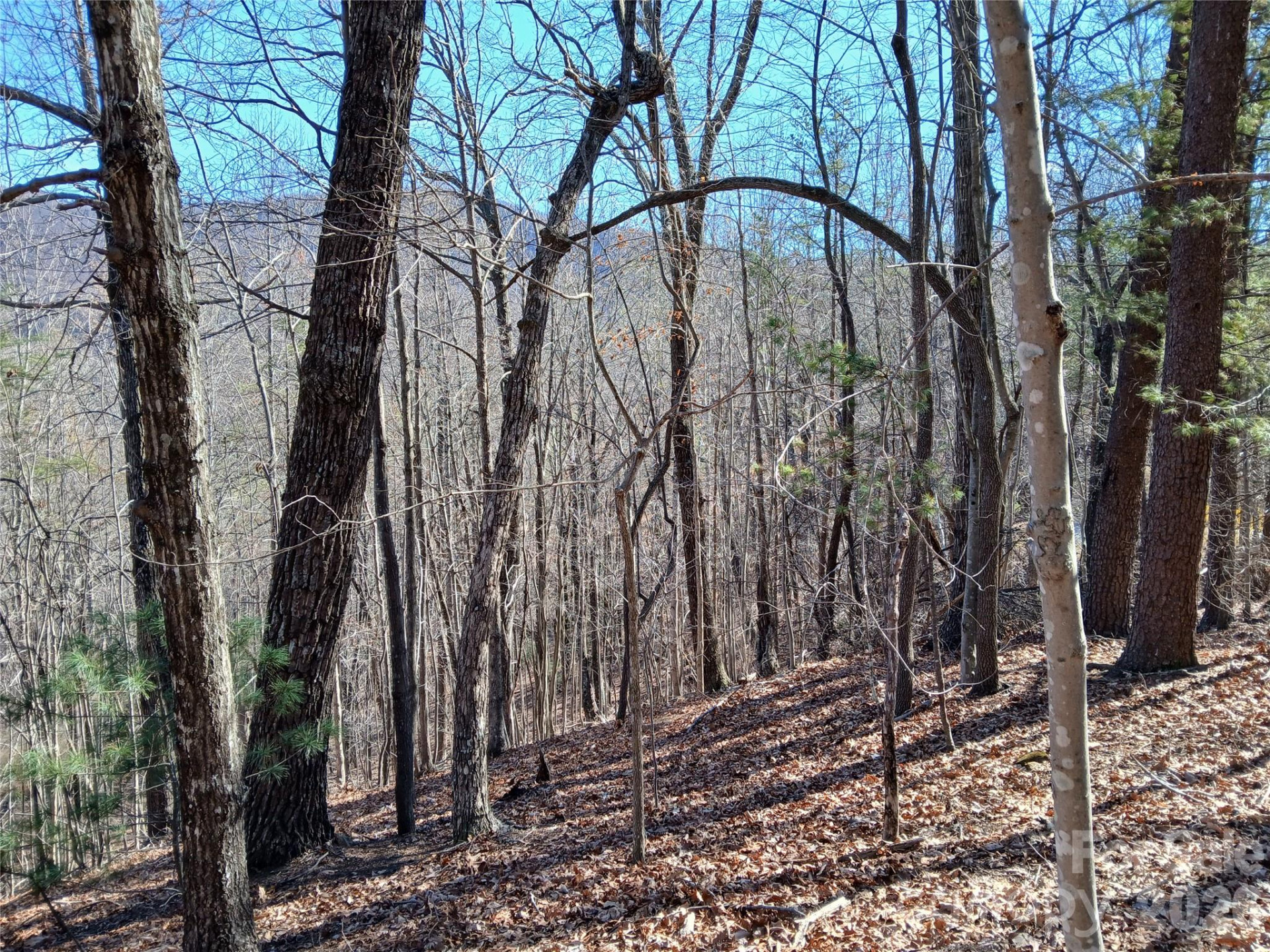 00 Piney Gate Road #39 - Photo 14