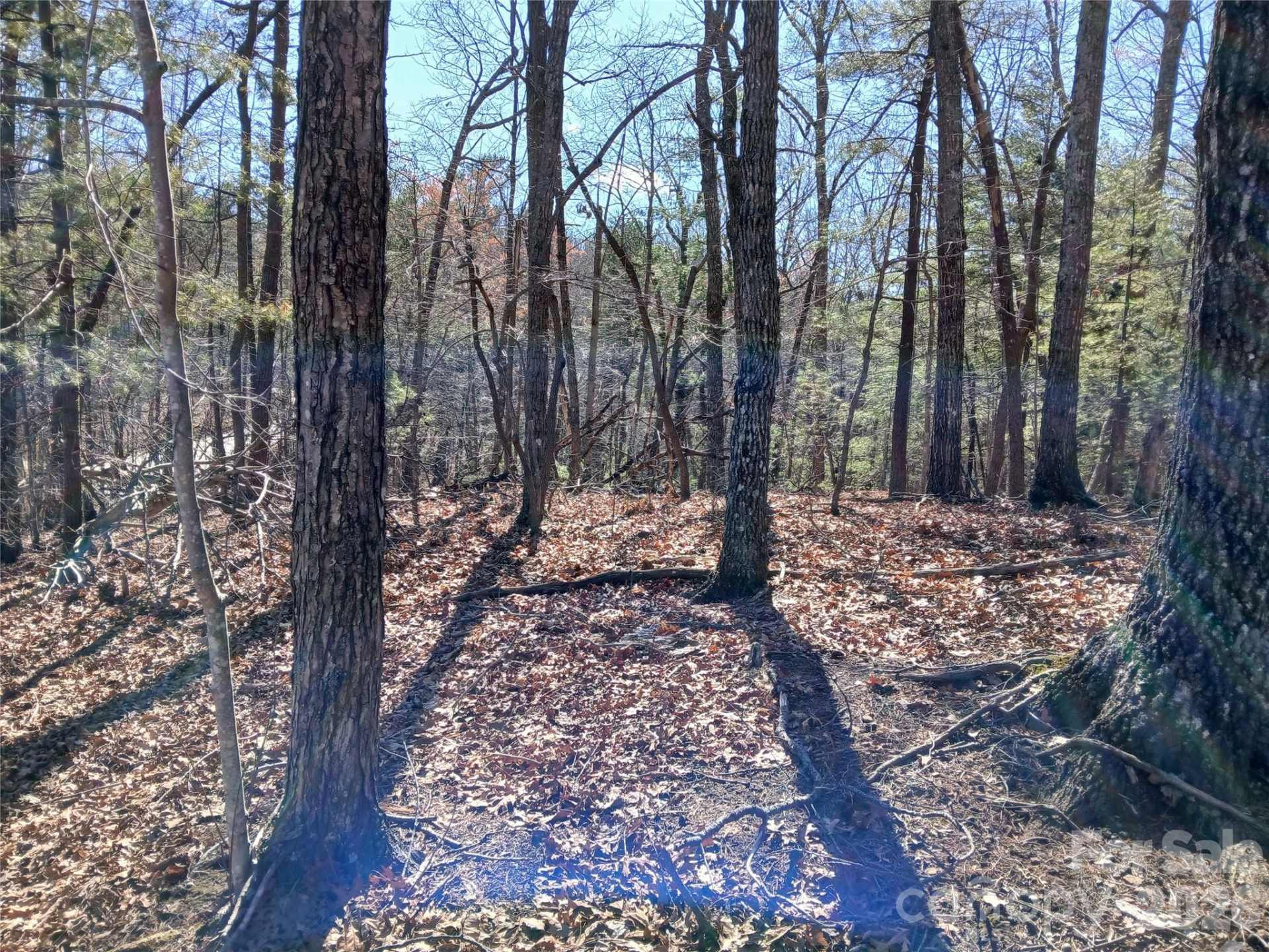 00 Piney Gate Road #39 - Photo 15