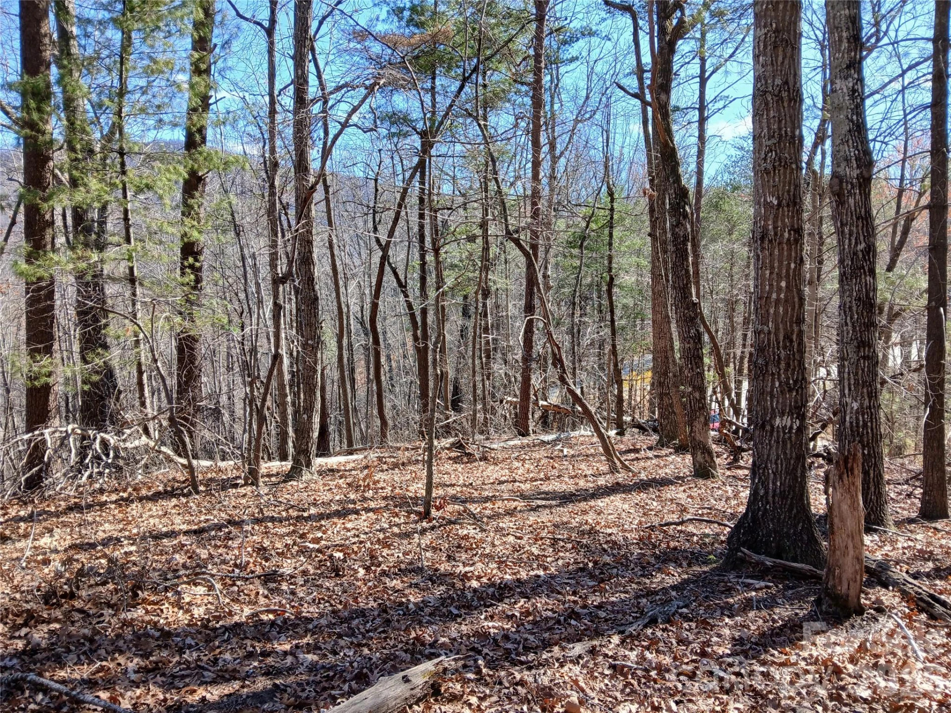 00 Piney Gate Road #39 - Photo 16