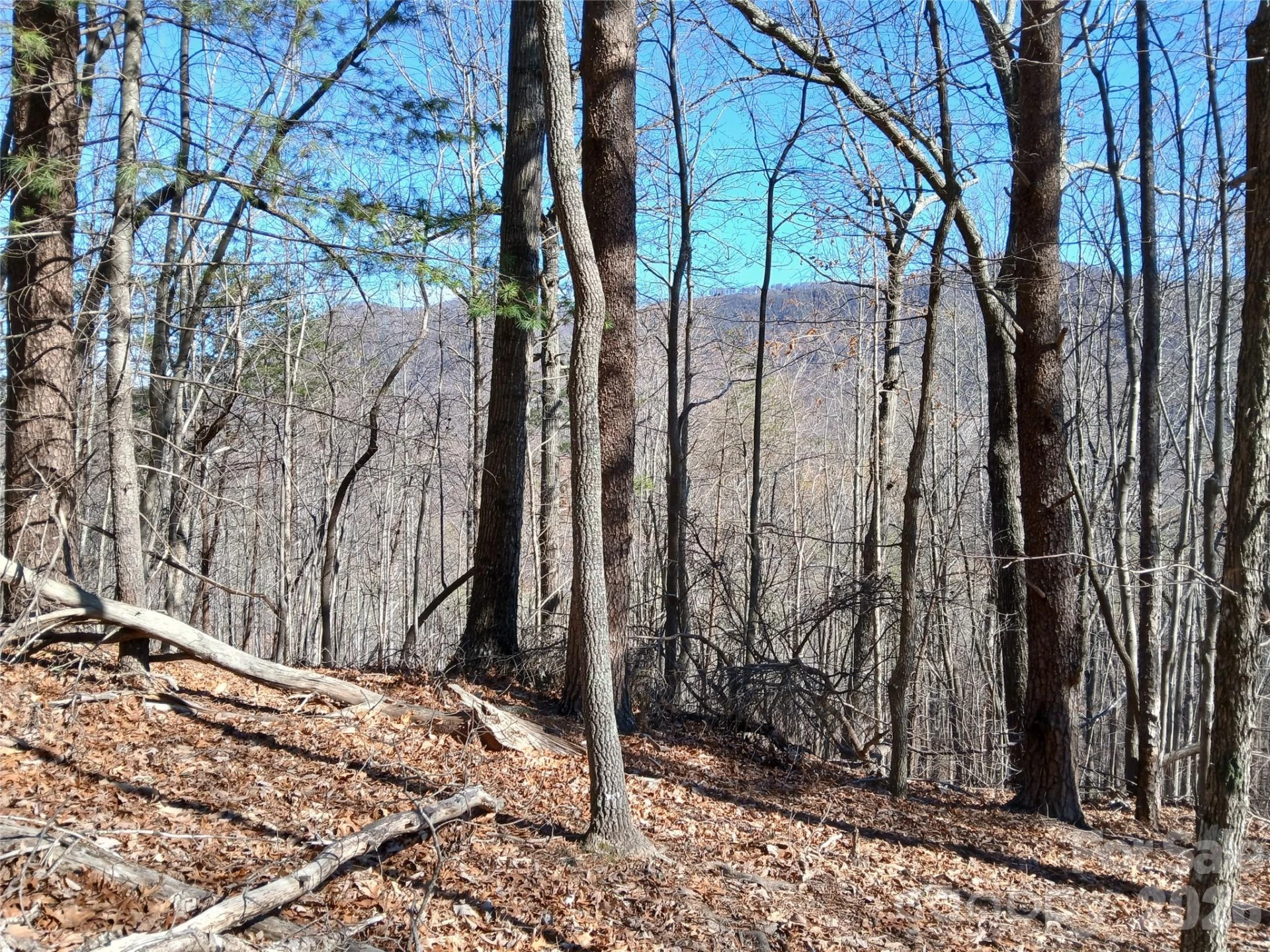 00 Piney Gate Road #39 - Photo 5