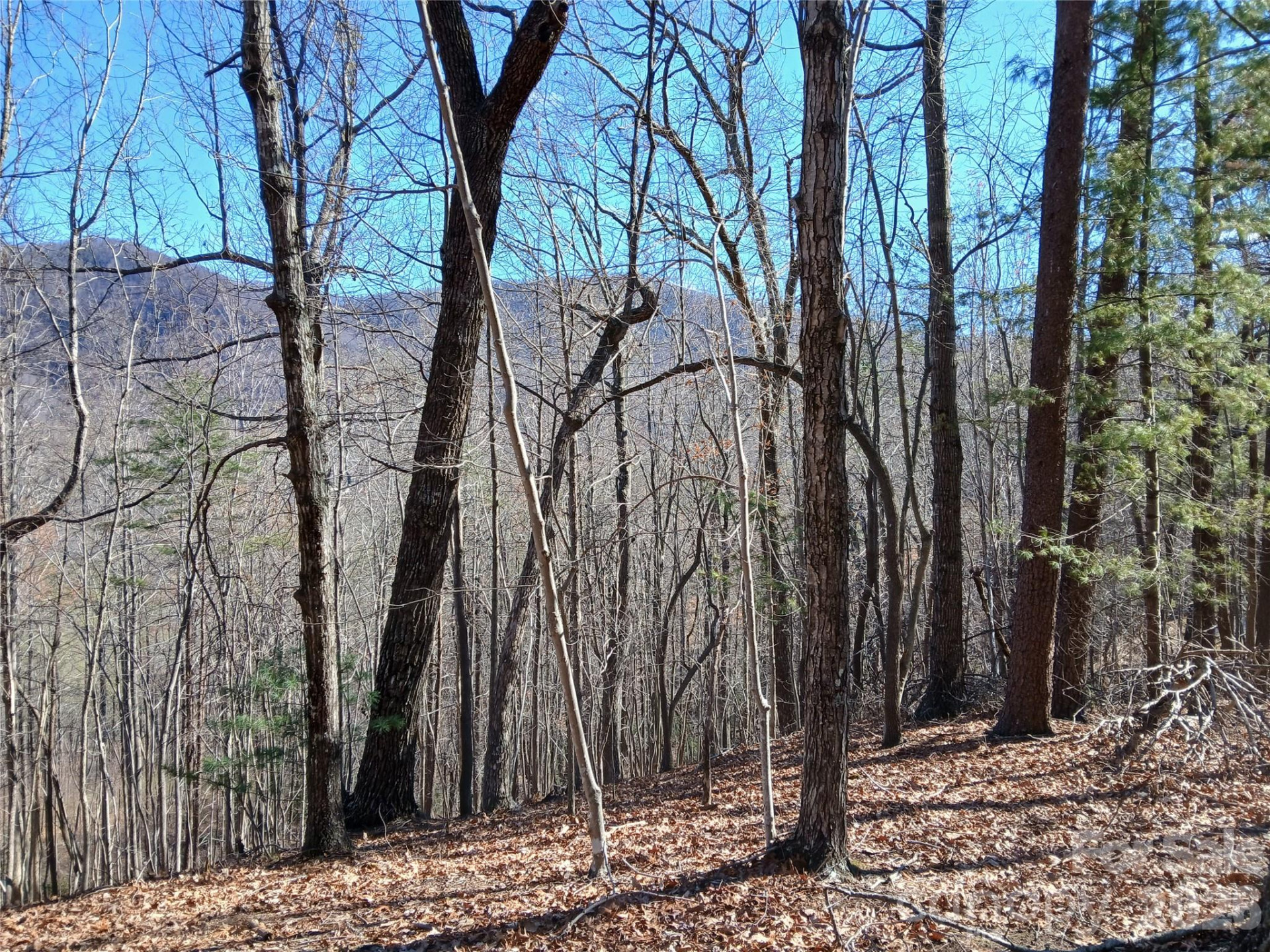 00 Piney Gate Road #39 - Photo 6