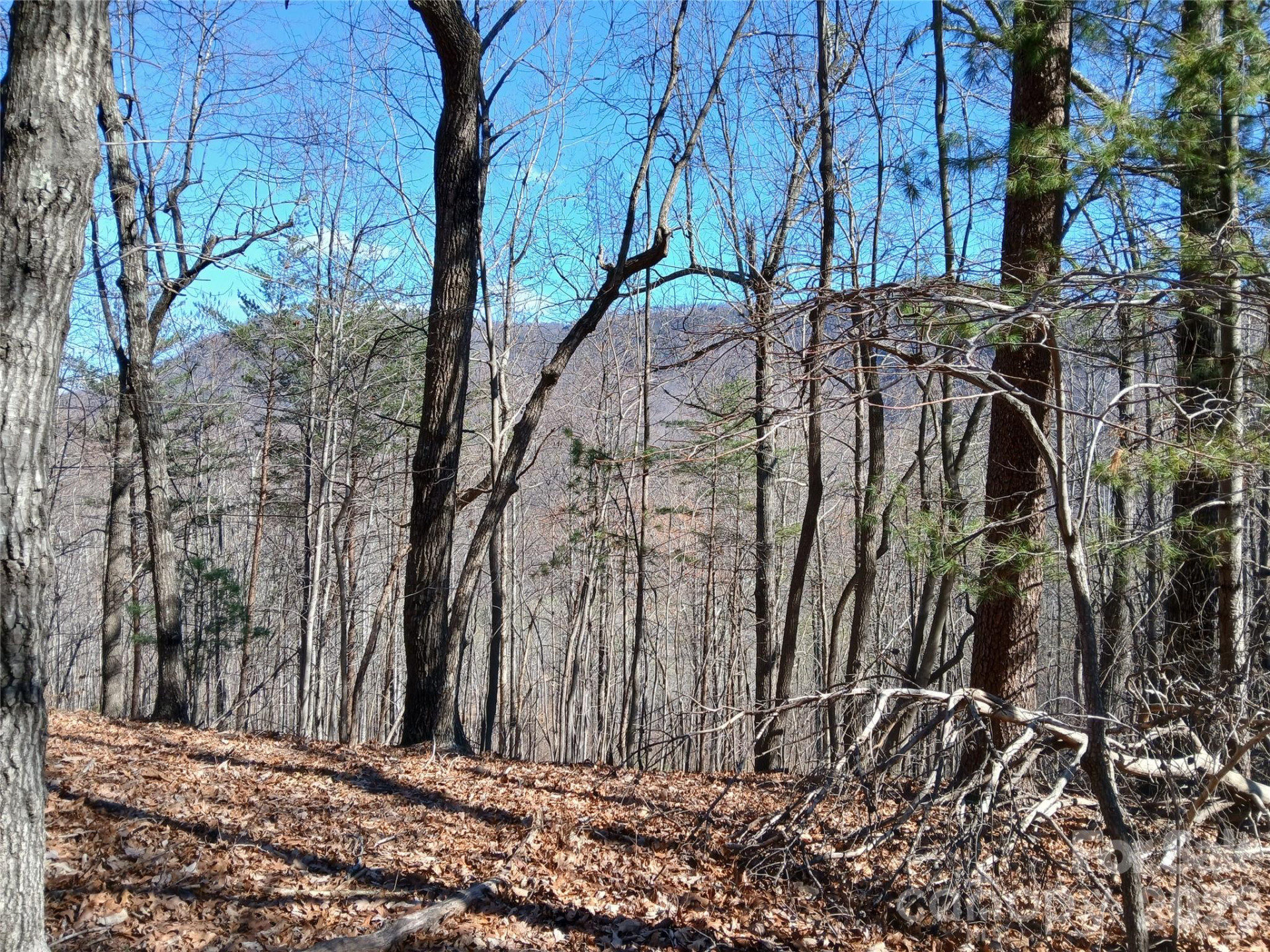 00 Piney Gate Road #39 - Photo 7