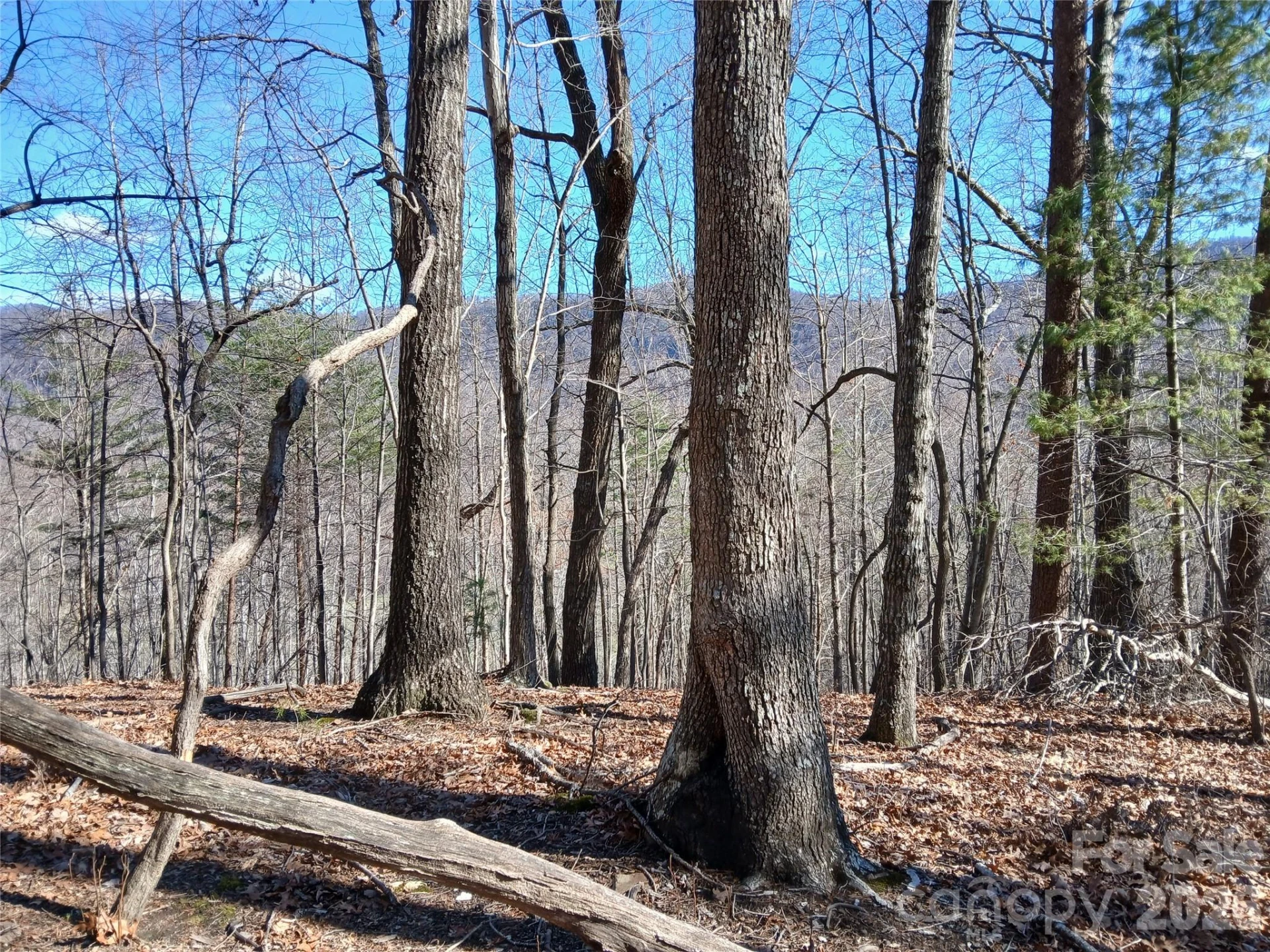00 Piney Gate Road #39 - Photo 8