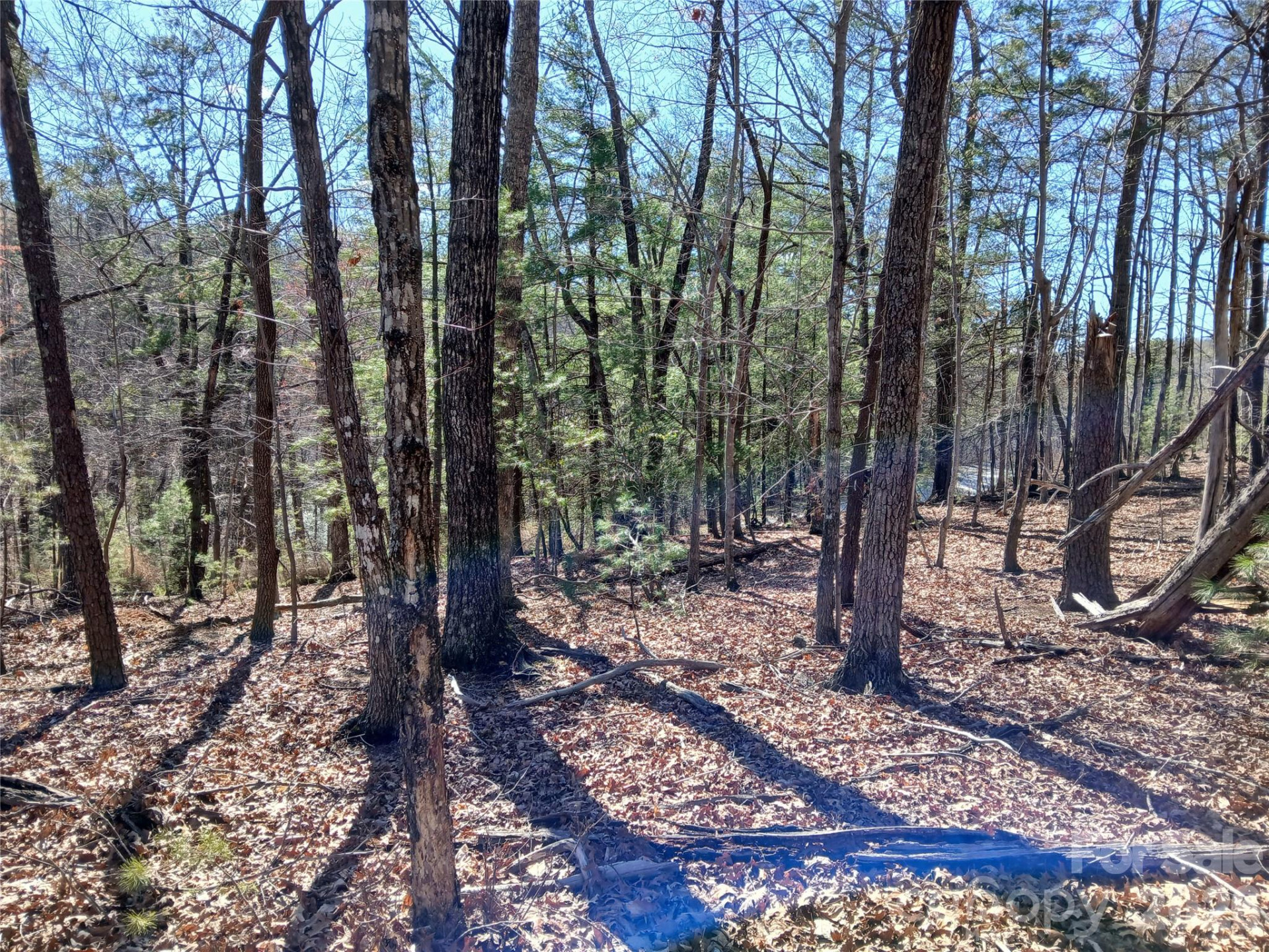 00 Piney Gate Road #39 - Photo 9