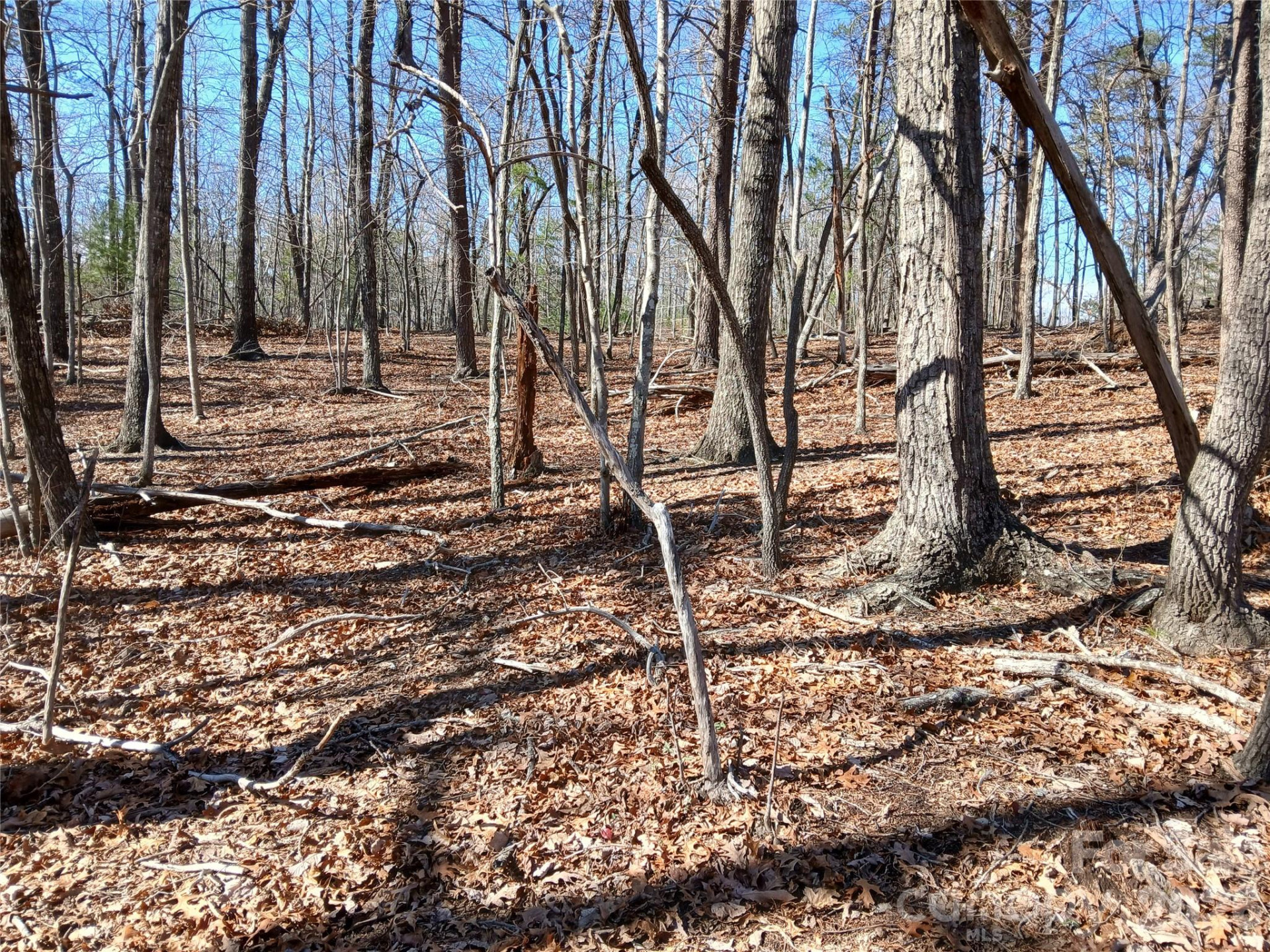 00 Piney Gate Road #39 - Photo 10