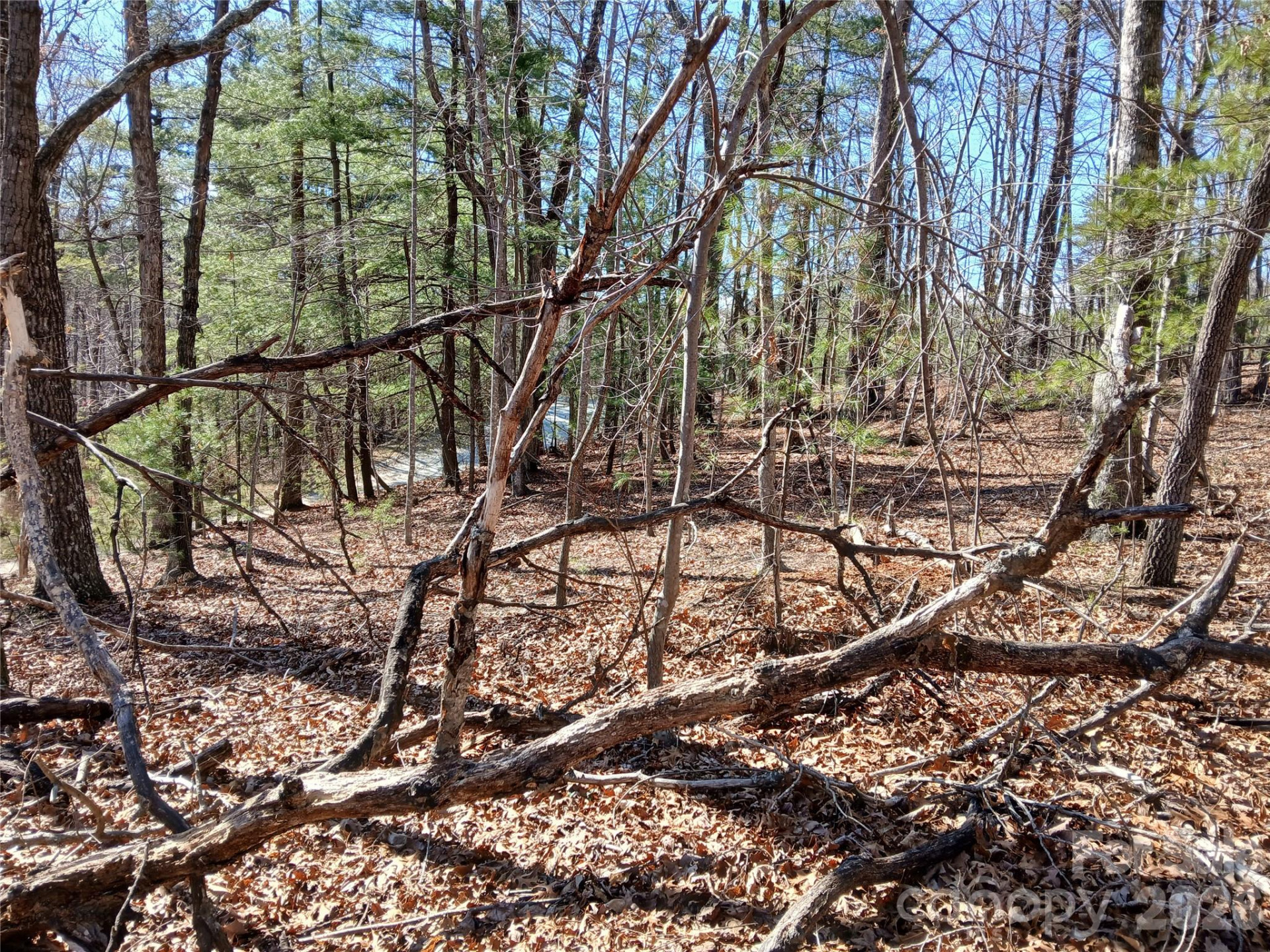 00 Piney Gate Road #39 - Photo 11