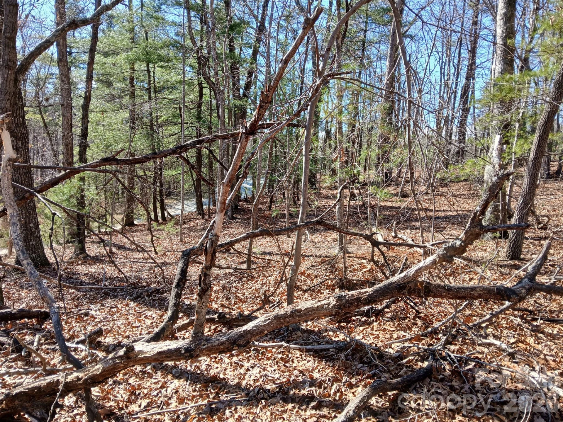 00 Piney Gate Road #39 - Photo 11