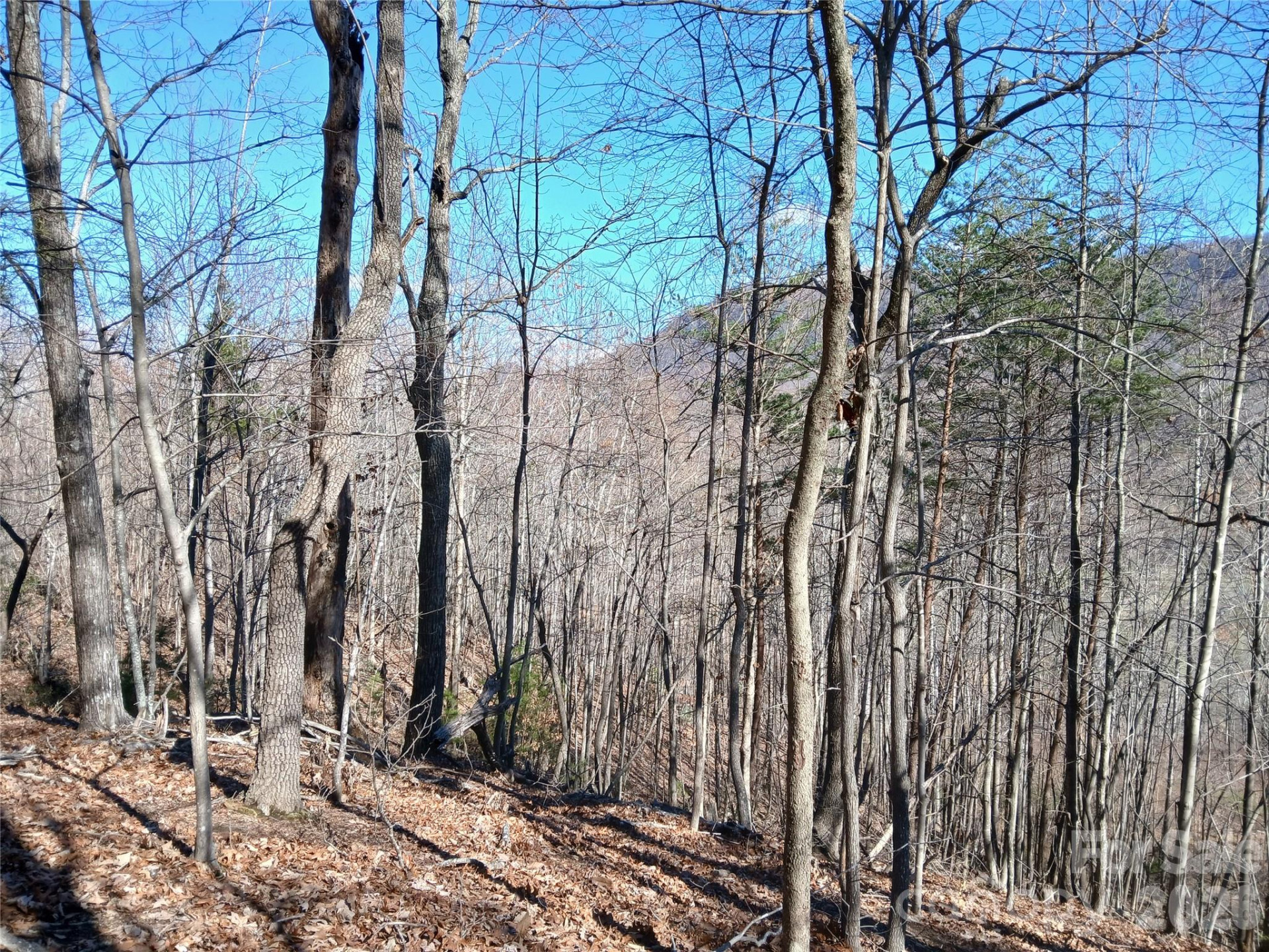 00 Piney Gate Road #39 - Photo 12