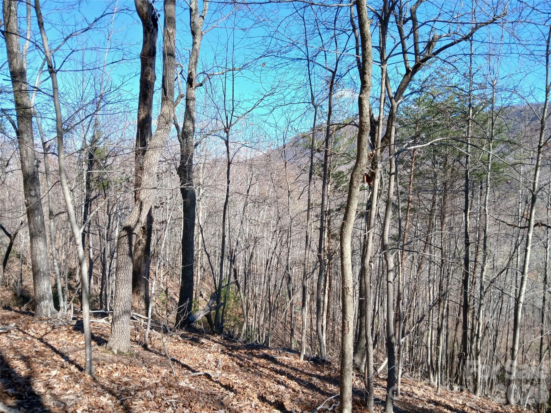 00 Piney Gate Road #39 - Photo 12