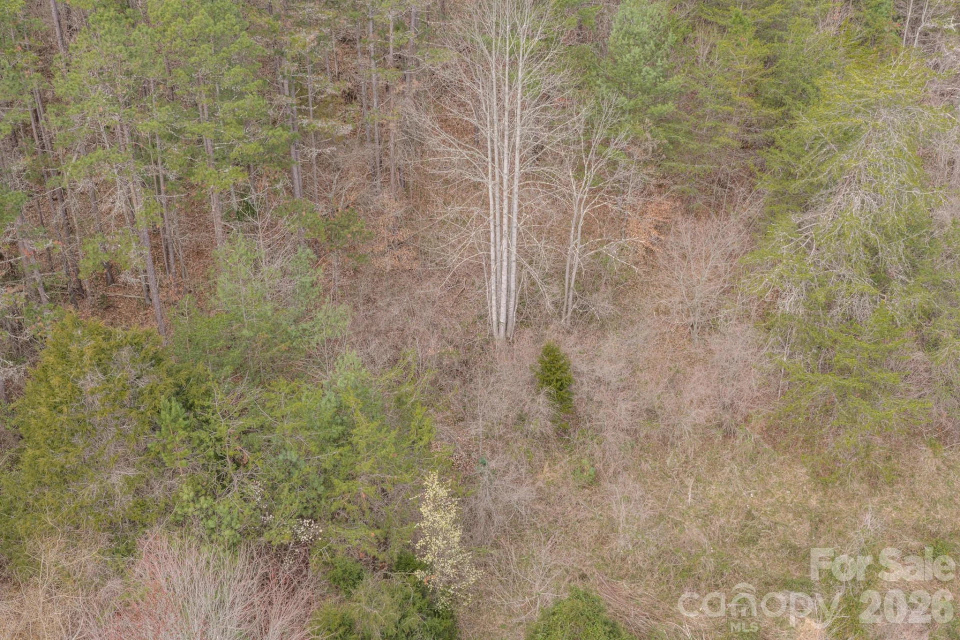 25 Sage Drive - Photo 19