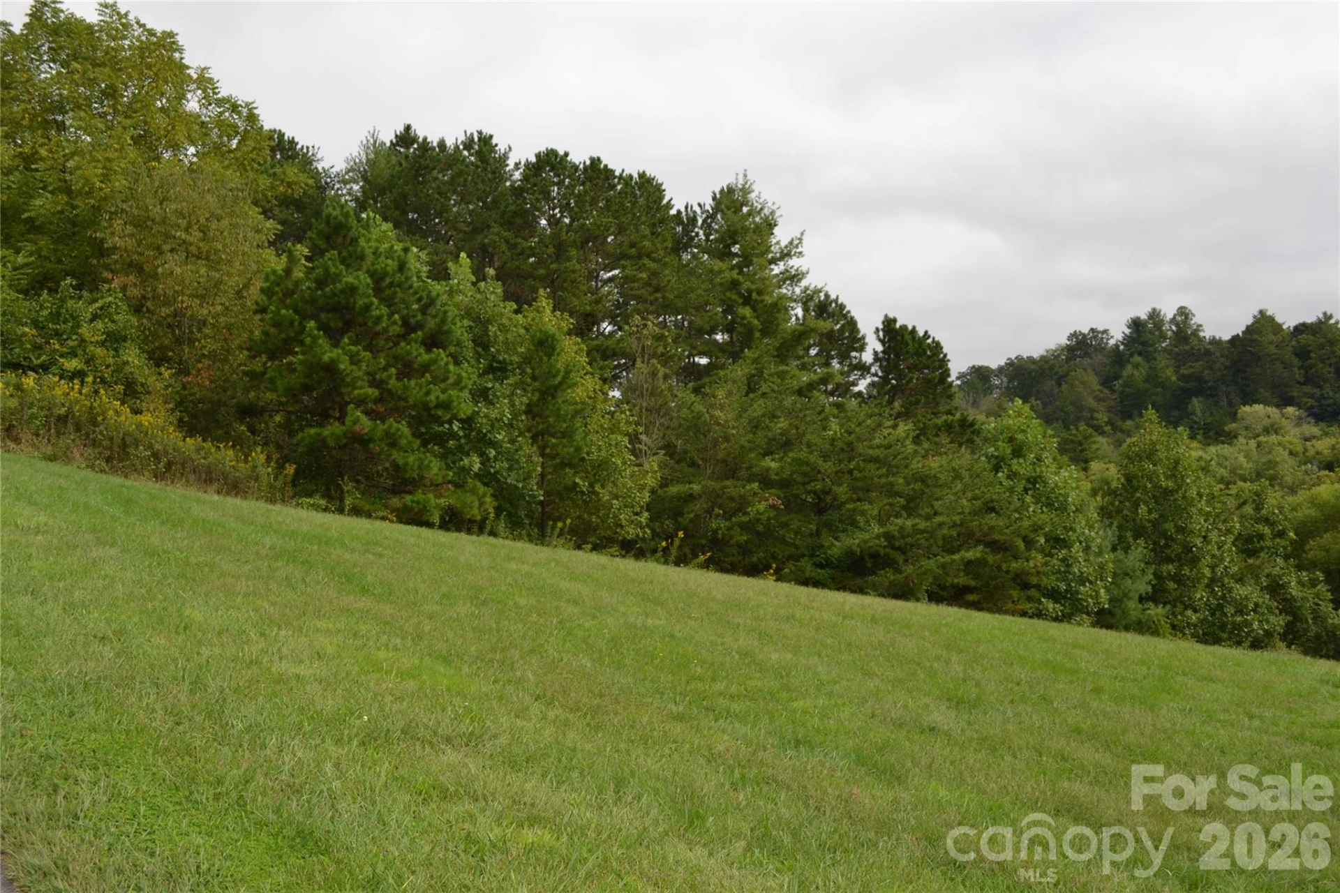 25 Sage Drive - Photo 3