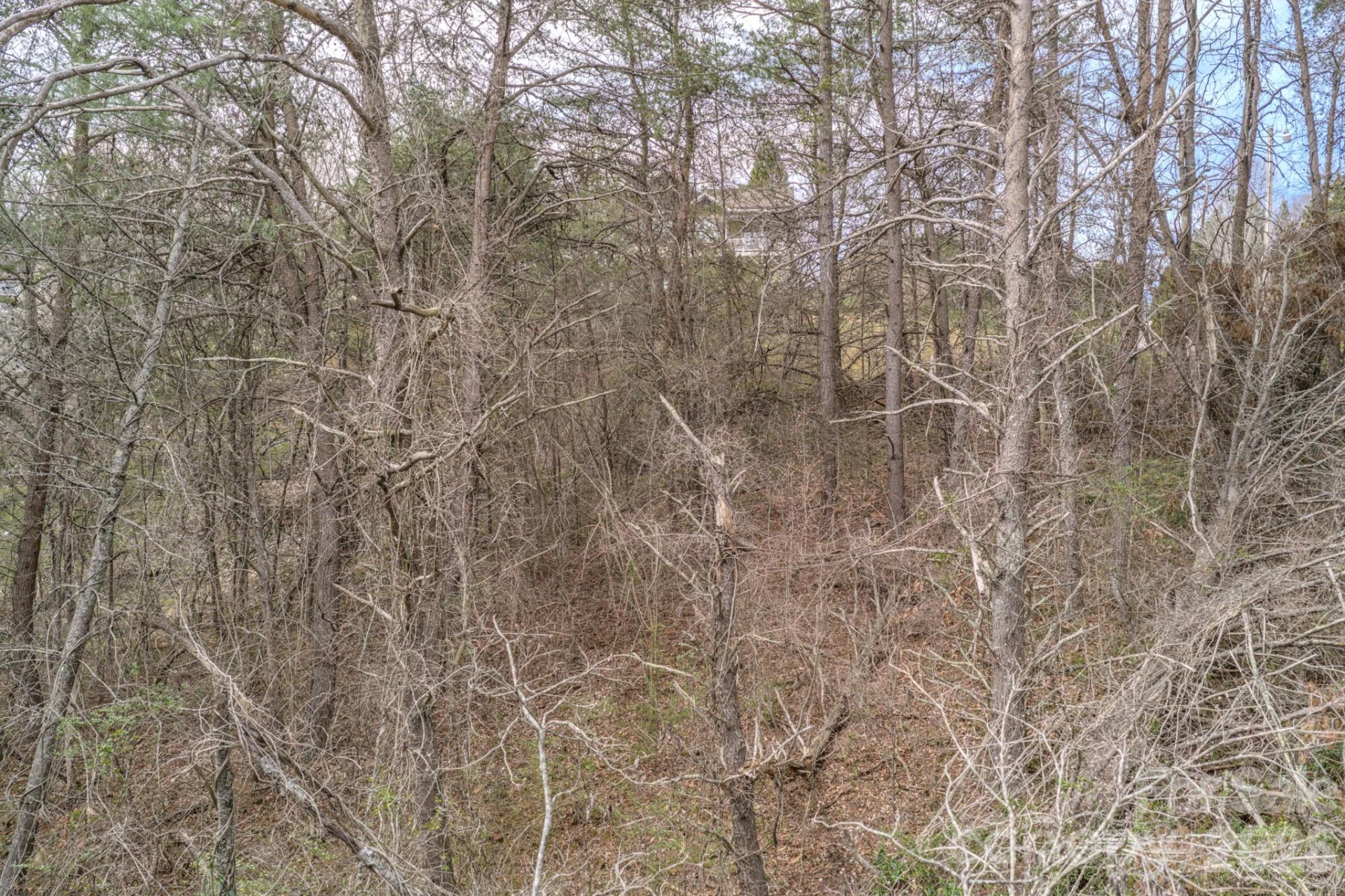 25 Sage Drive - Photo 29