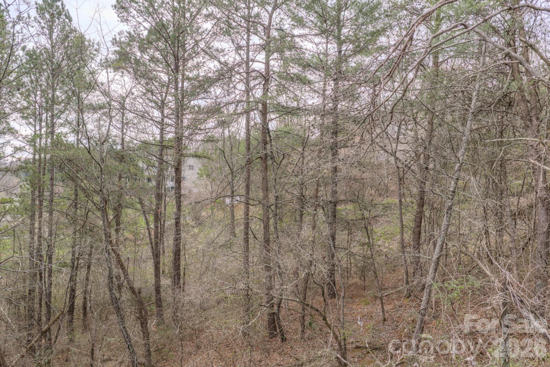 25 Sage Drive - Photo 31