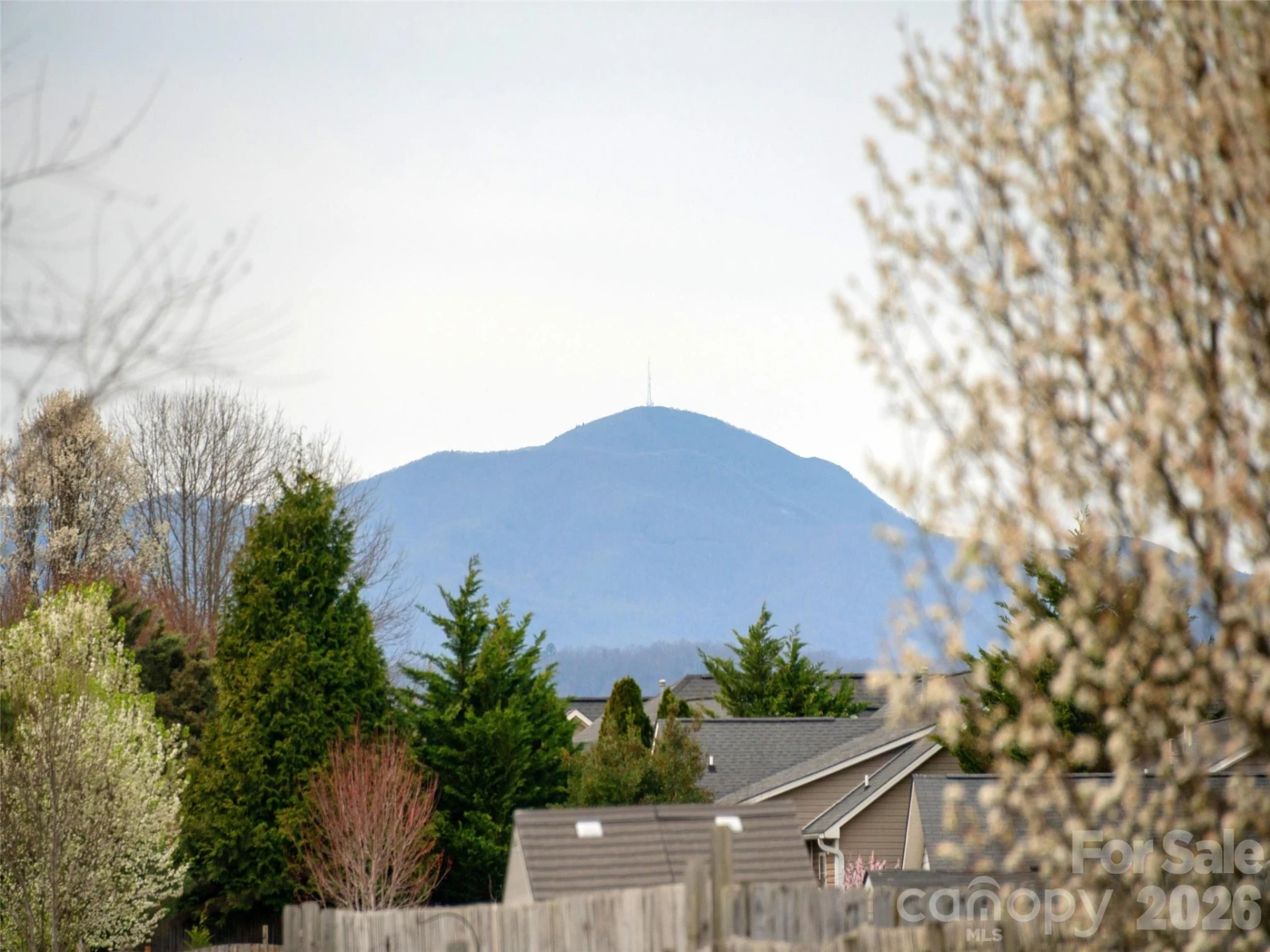 83 Swift Creek Road - Photo 26