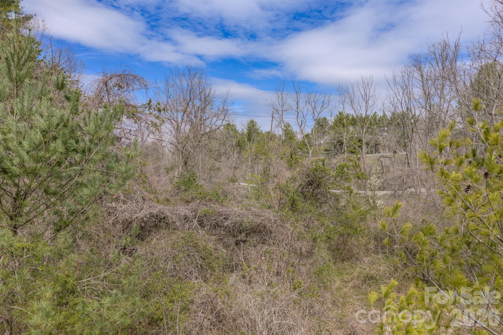 29 Sage Drive - Photo 24