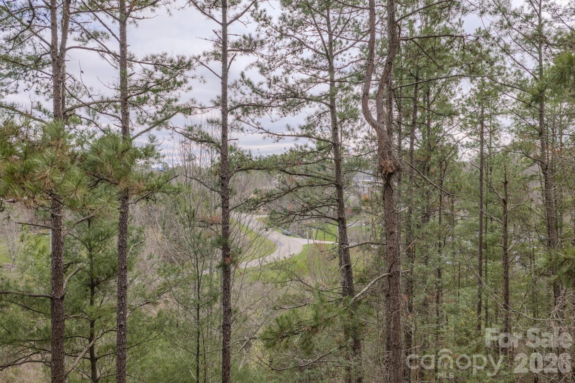 29 Sage Drive - Photo 26
