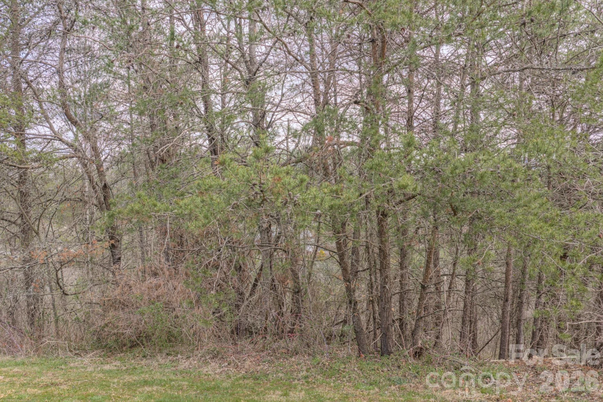 29 Sage Drive - Photo 28