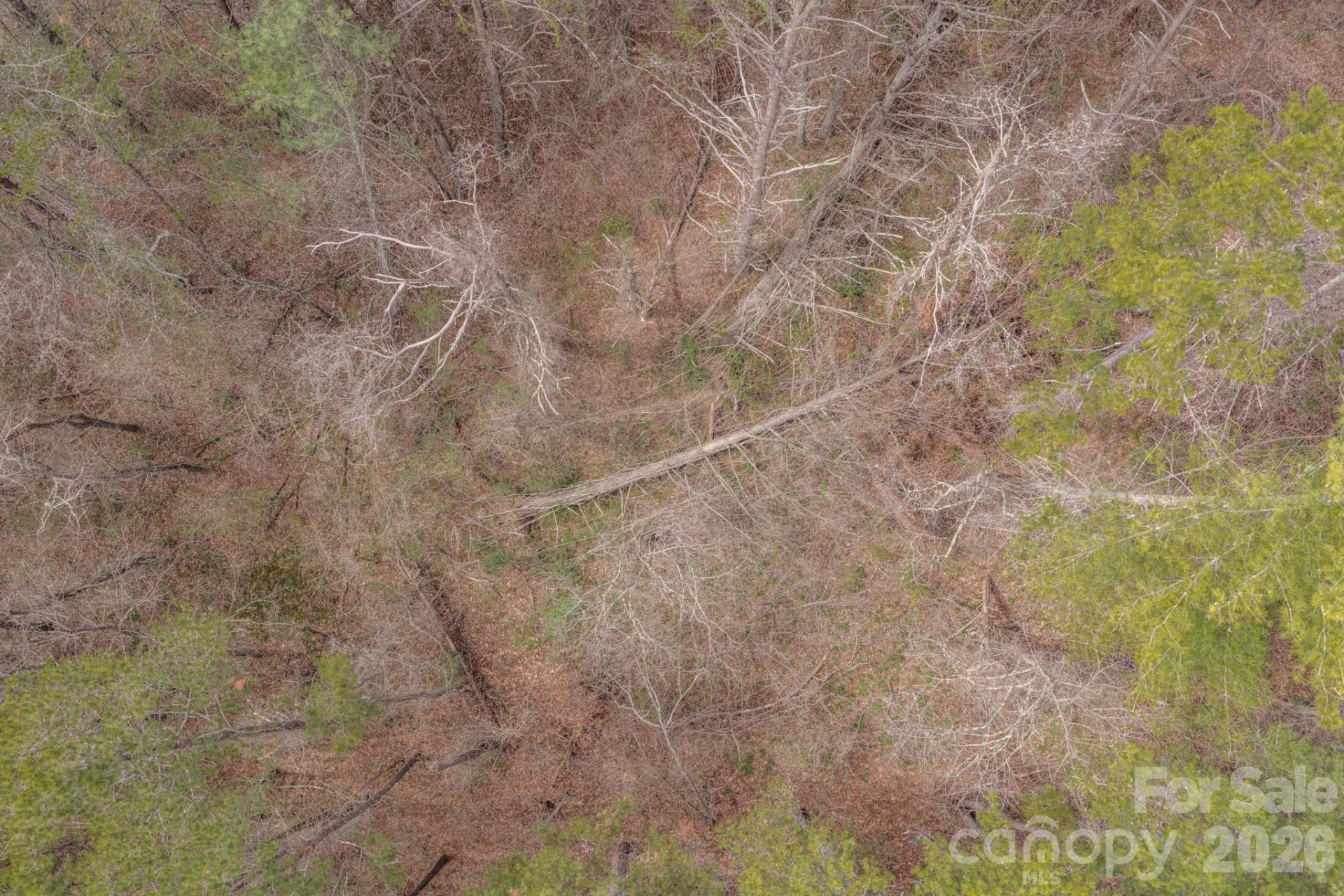 29 Sage Drive - Photo 29