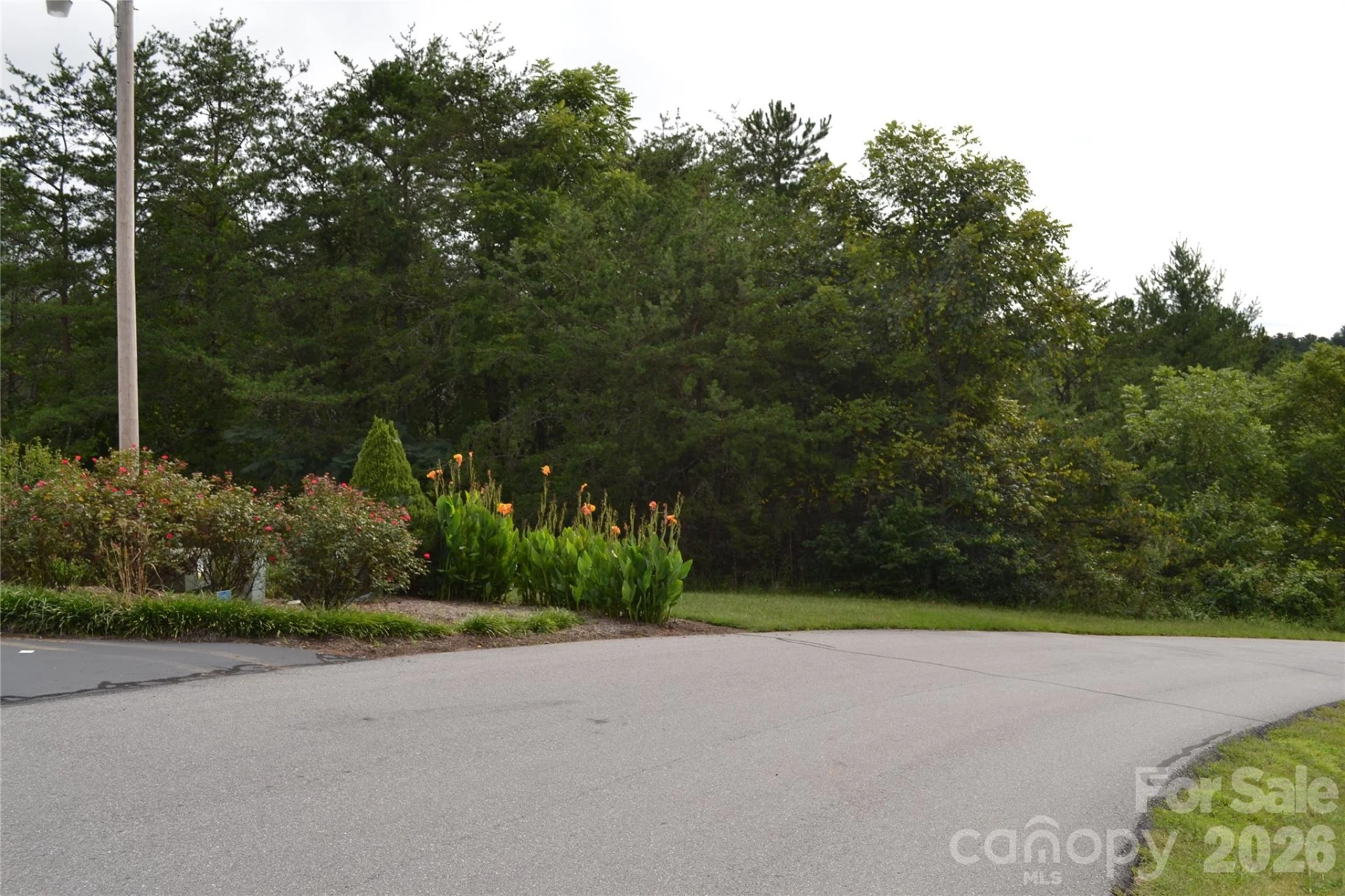 29 Sage Drive - Photo 6