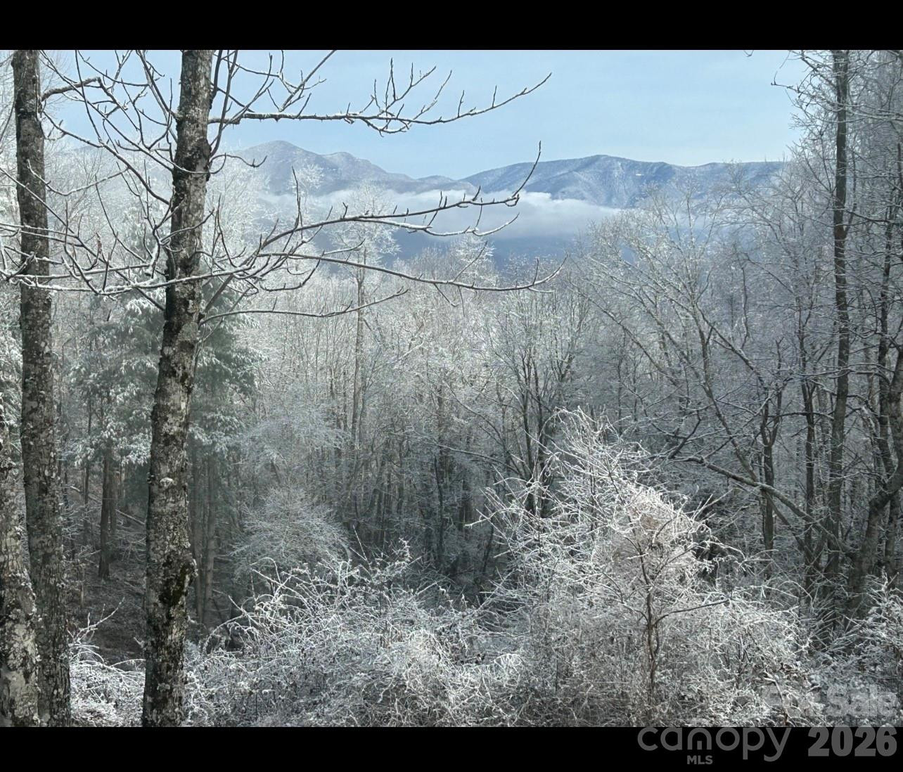 000 Wayah Zooshuga Road - Photo 16