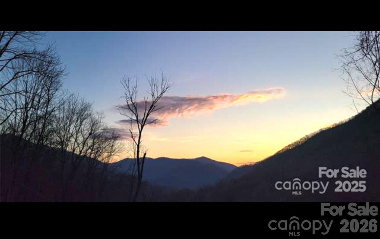 000 Wayah Zooshuga Road - Photo 4