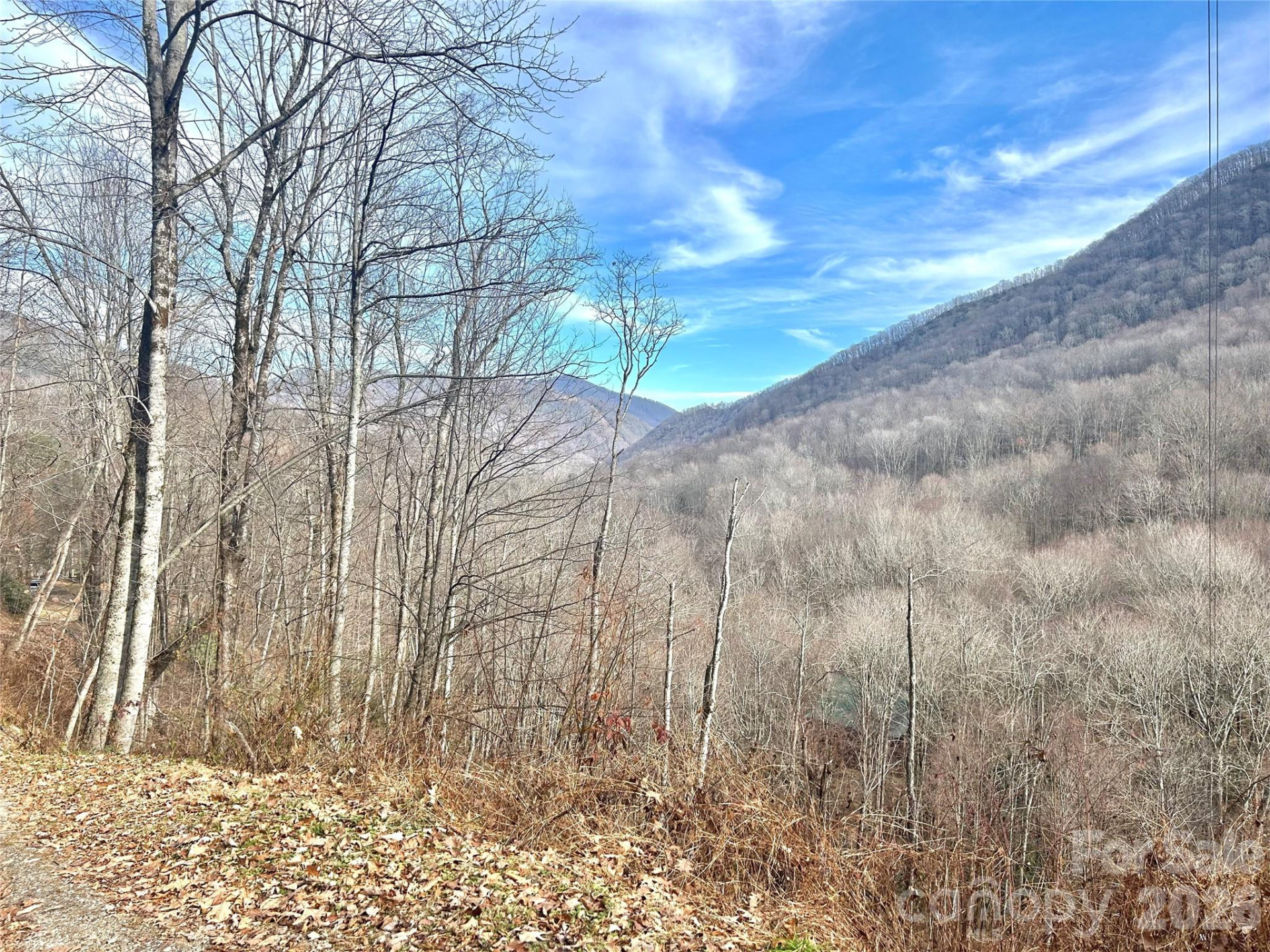 000 Wayah Zooshuga Road - Photo 5