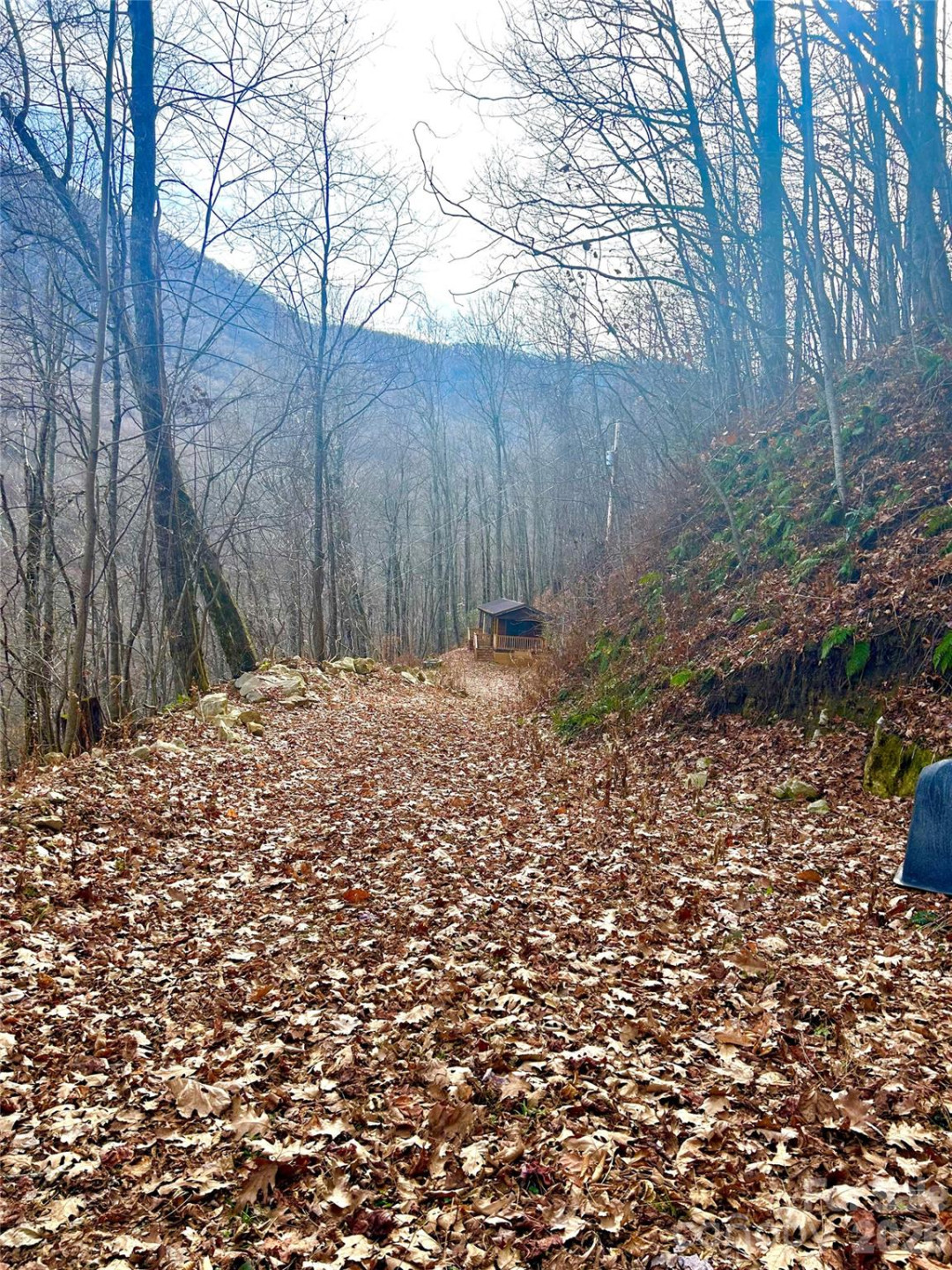 000 Wayah Zooshuga Road - Photo 7