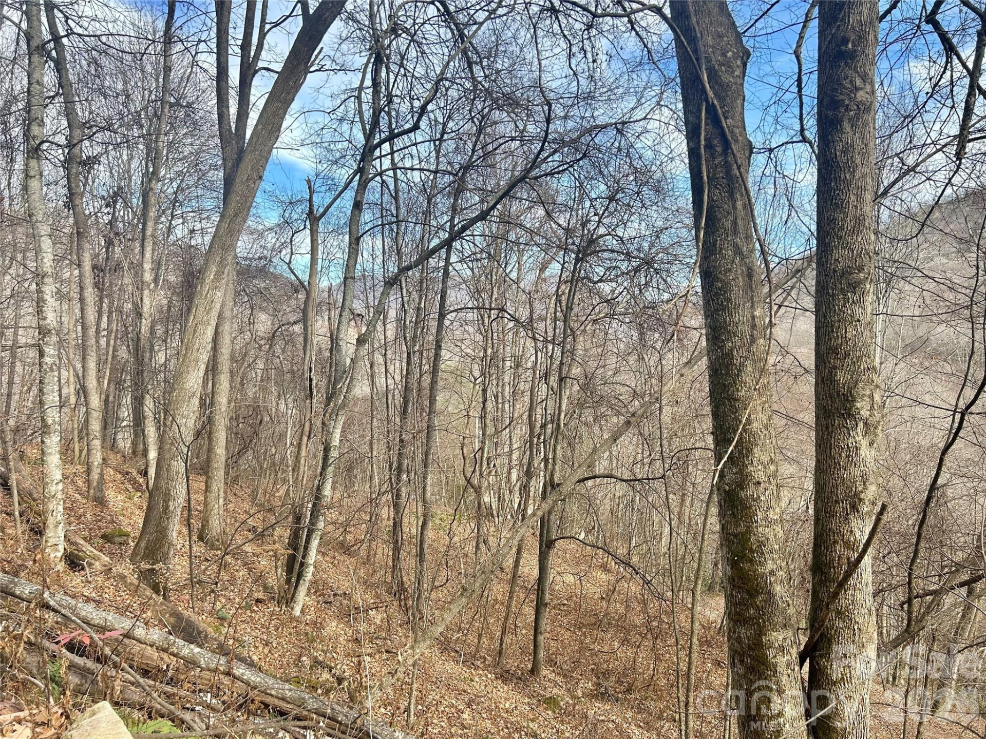 000 Wayah Zooshuga Road - Photo 8