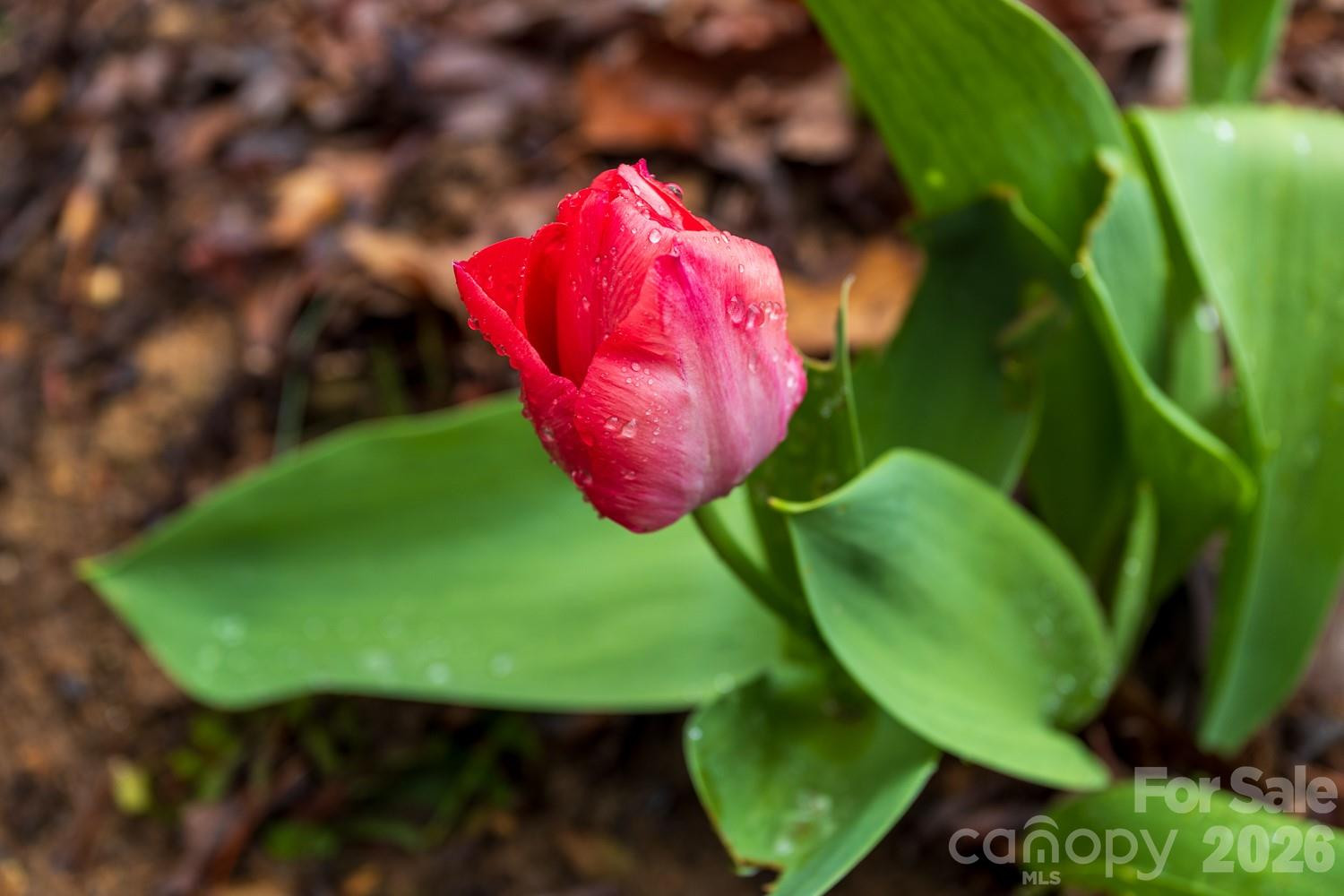 10 Savannah Circle - Photo 5