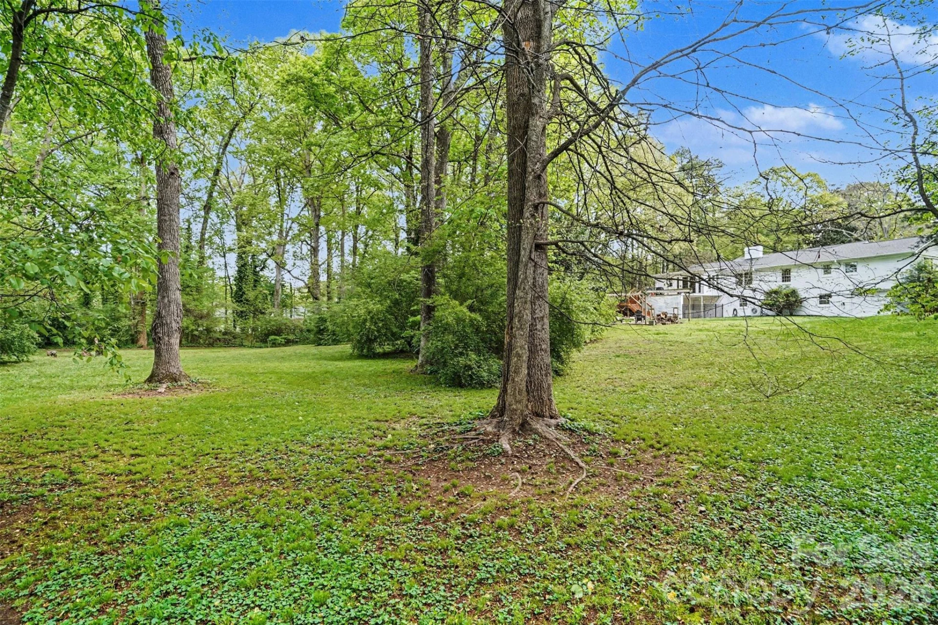 1700 Quail Street - Photo 35