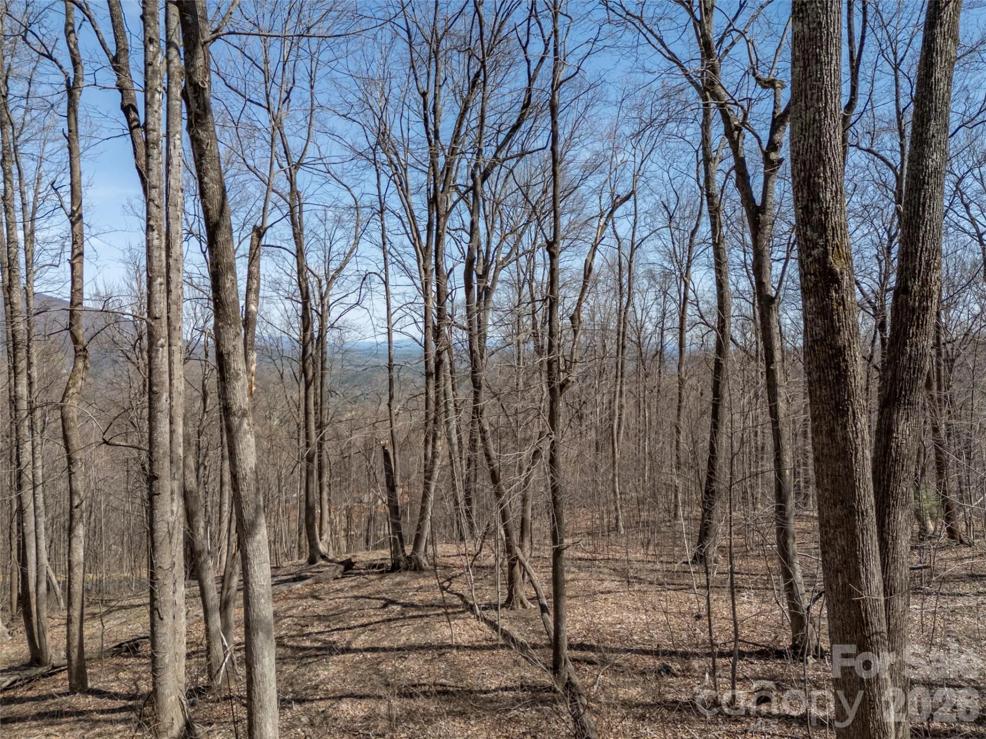 Lot 2130 Weaverly Lane - Photo 11