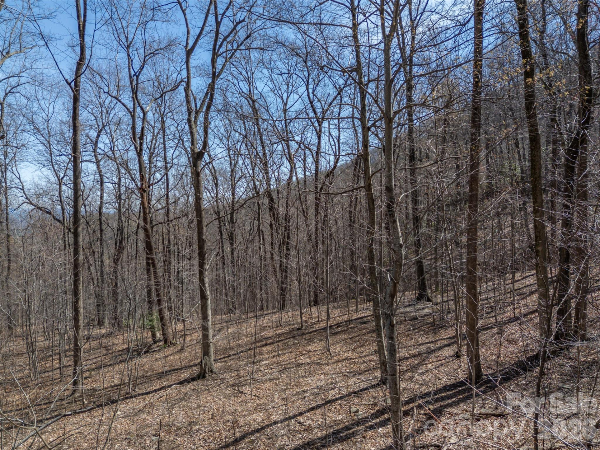 Lot 2130 Weaverly Lane - Photo 13