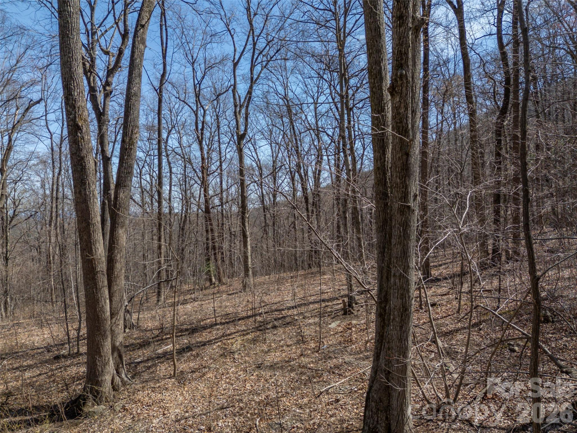 Lot 2130 Weaverly Lane - Photo 15