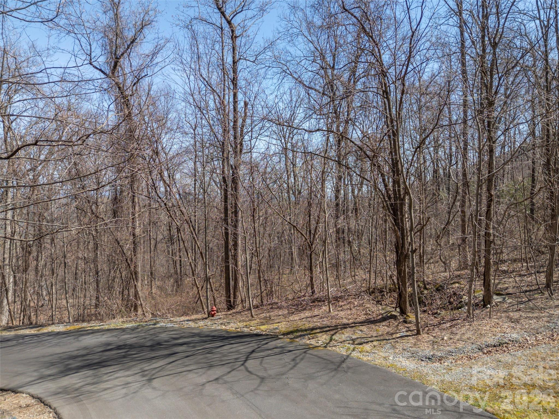 Lot 2130 Weaverly Lane - Photo 4