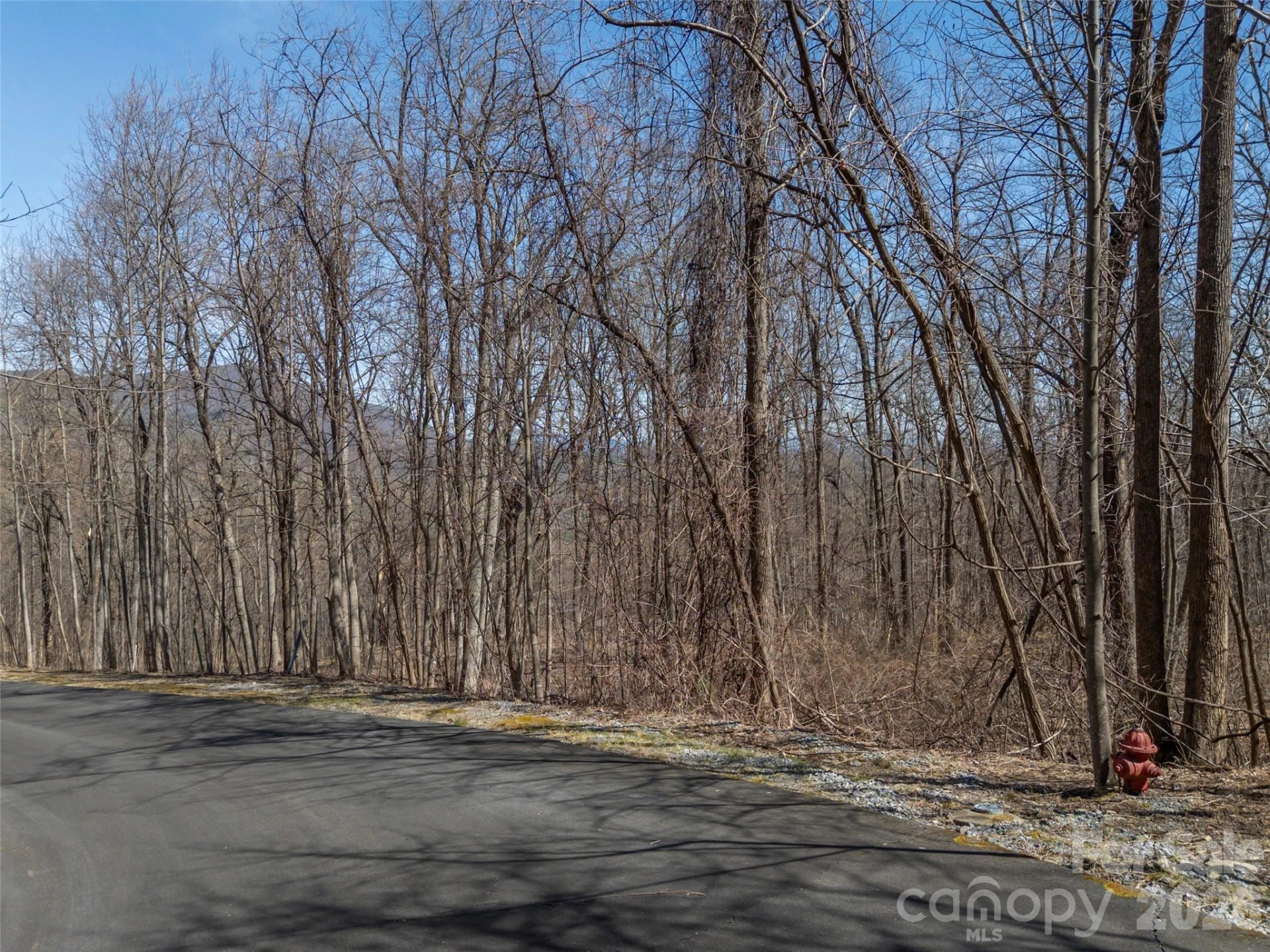 Lot 2130 Weaverly Lane - Photo 6