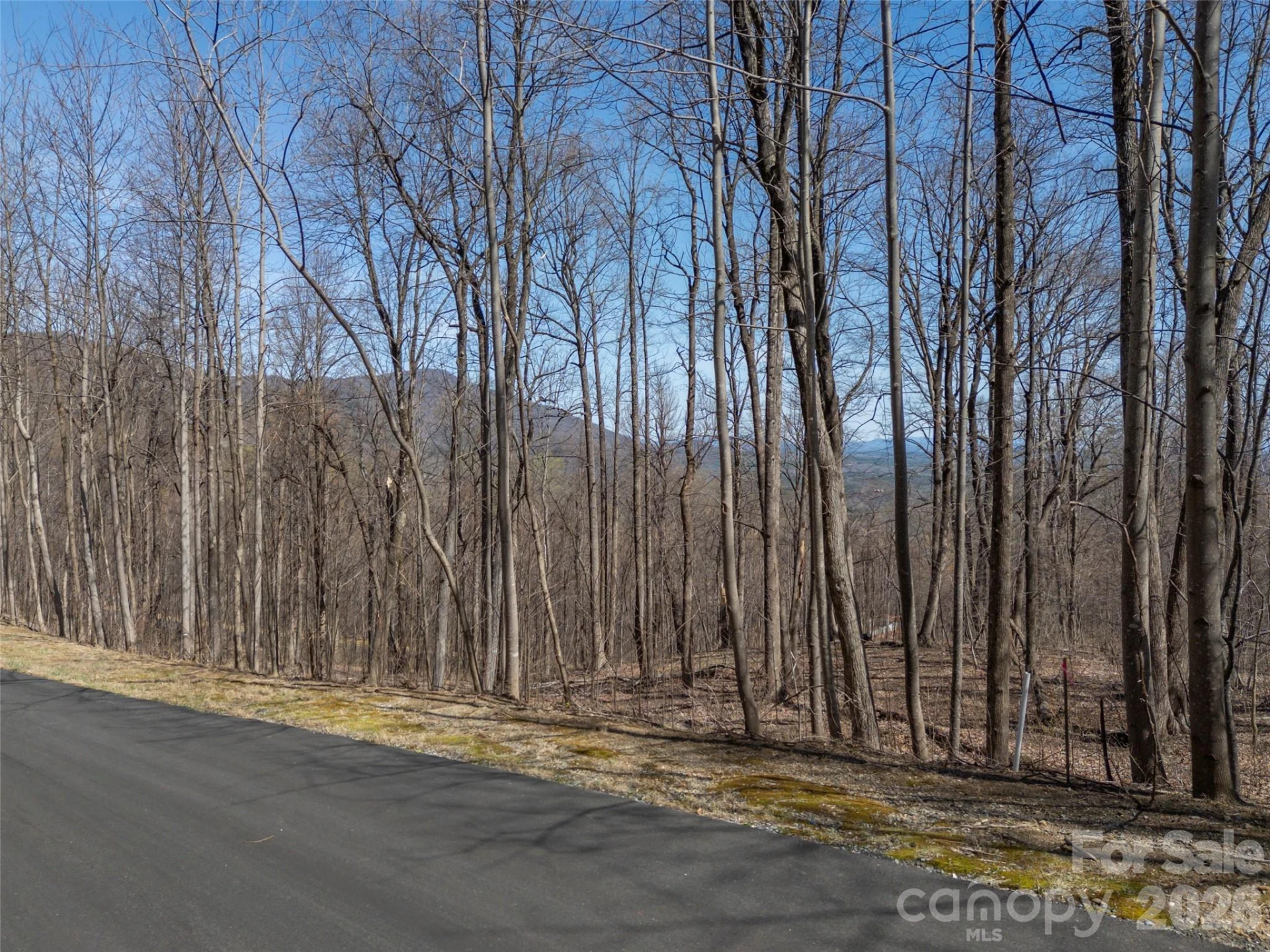 Lot 2130 Weaverly Lane - Photo 9