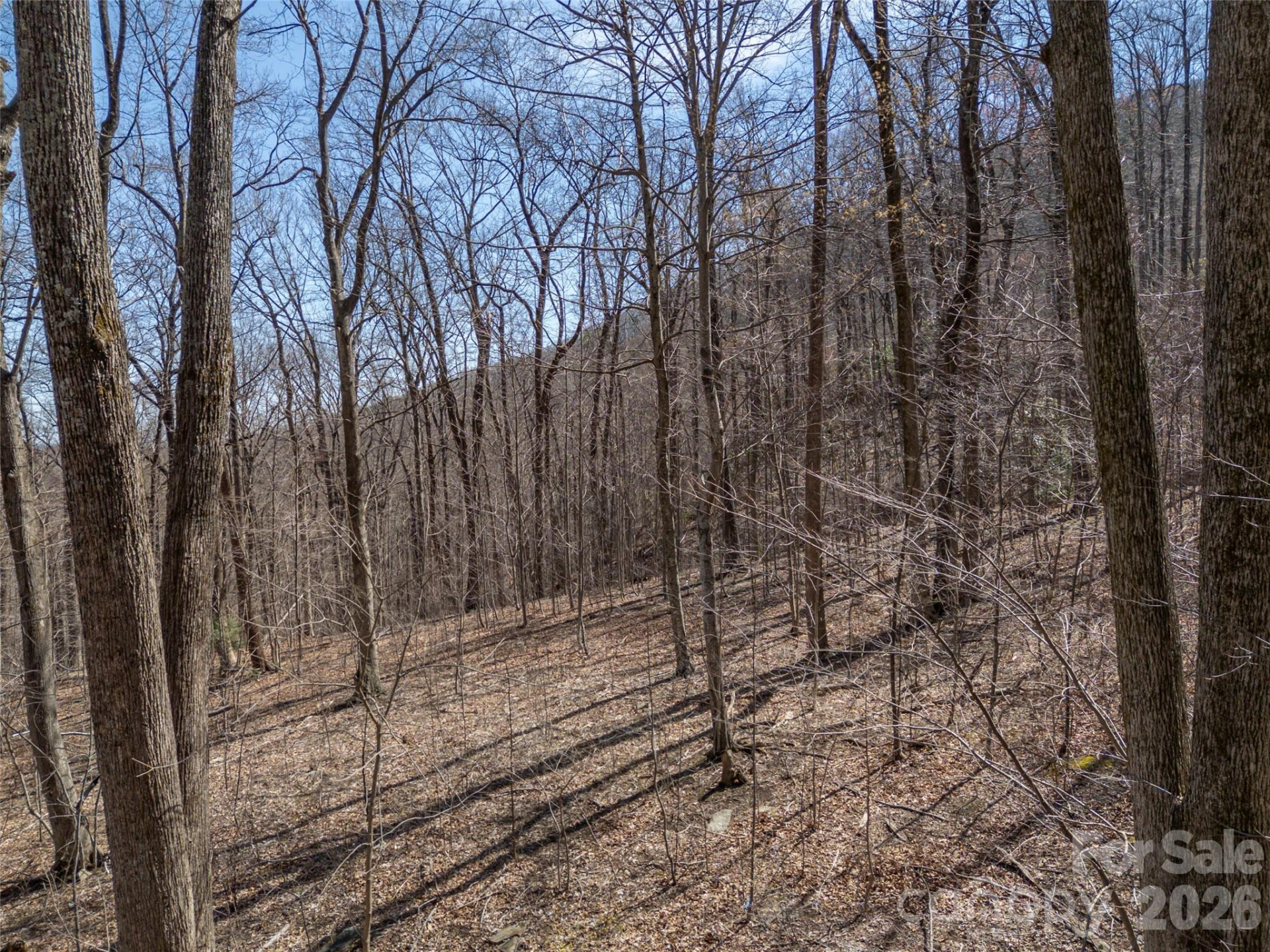 Lot 2130 Weaverly Lane - Photo 10