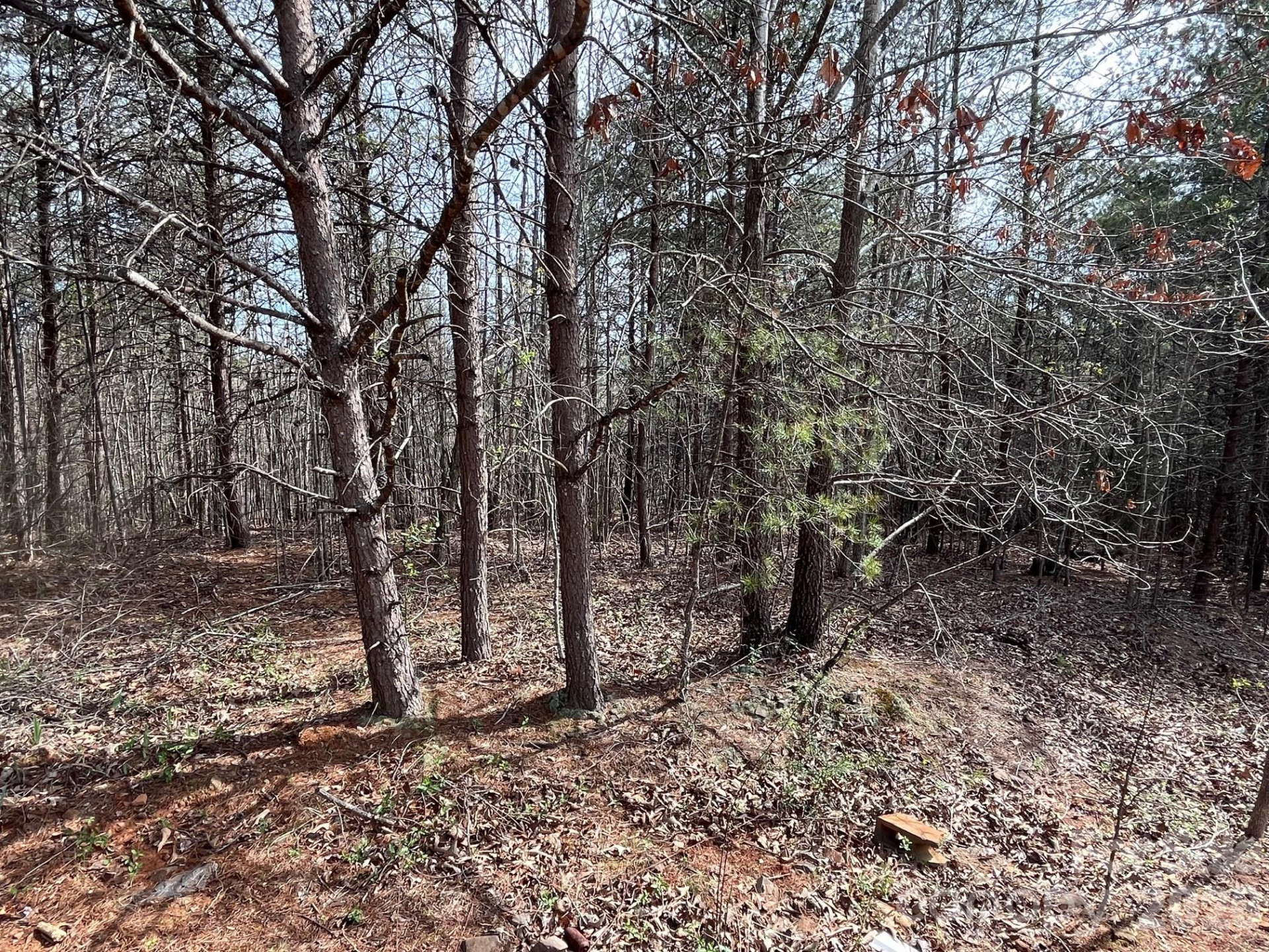 24 Katies Way - Photo 9