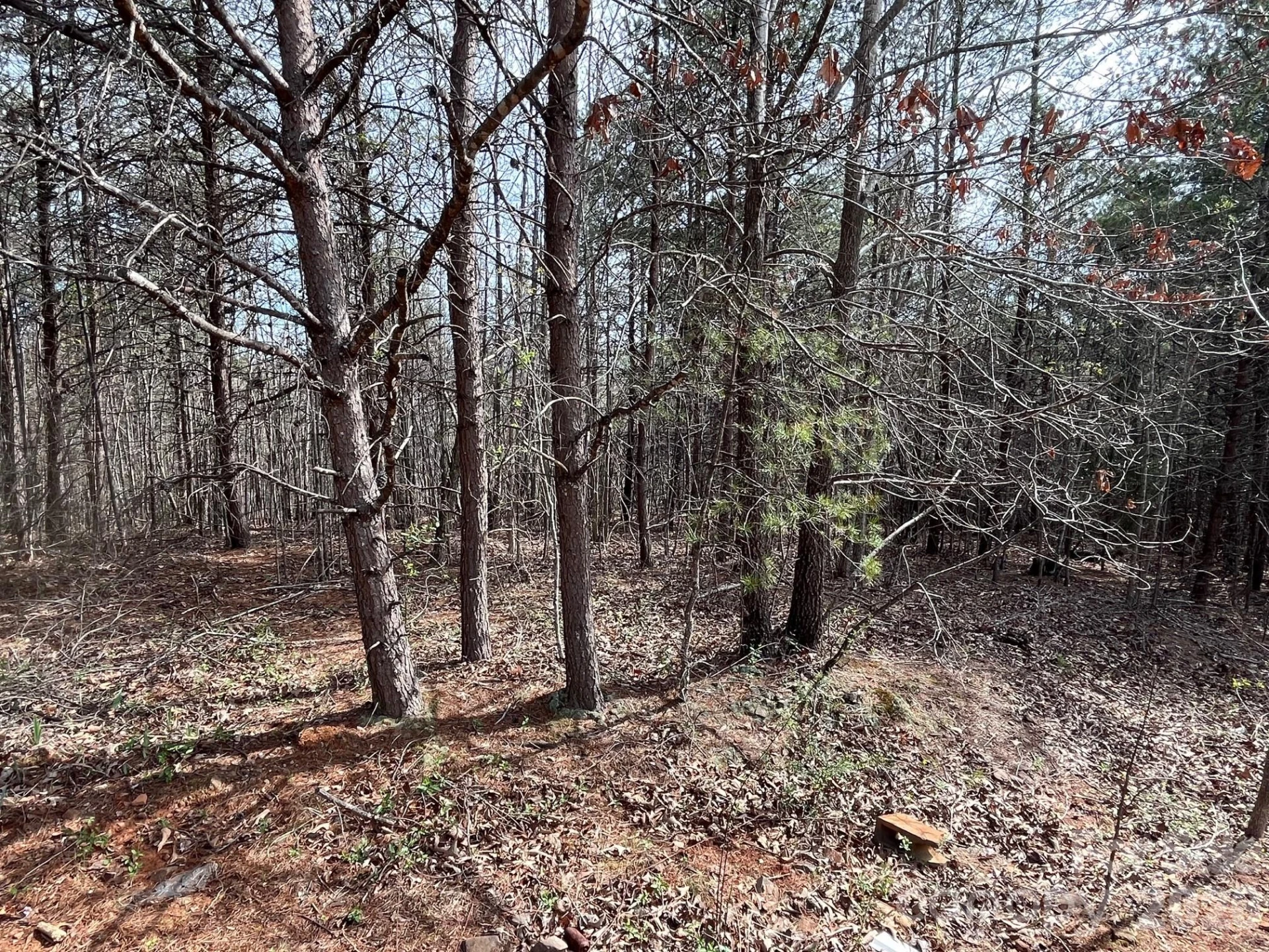 24 Katies Way - Photo 9