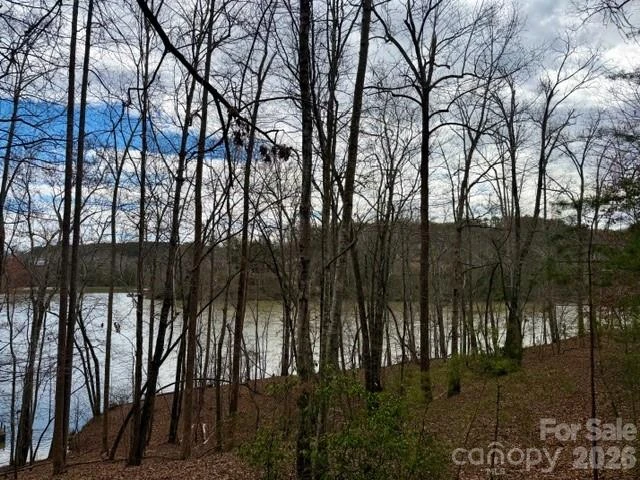 35 Mountain Parkway