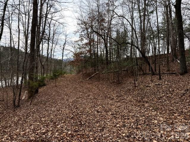 35 Mountain Parkway - Photo 4