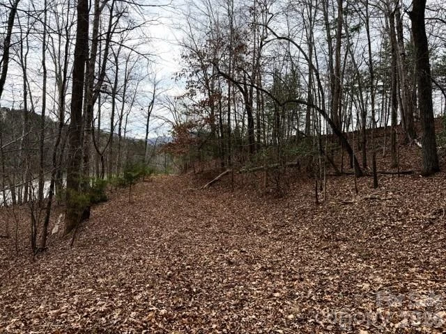 35 Mountain Parkway - Photo 4