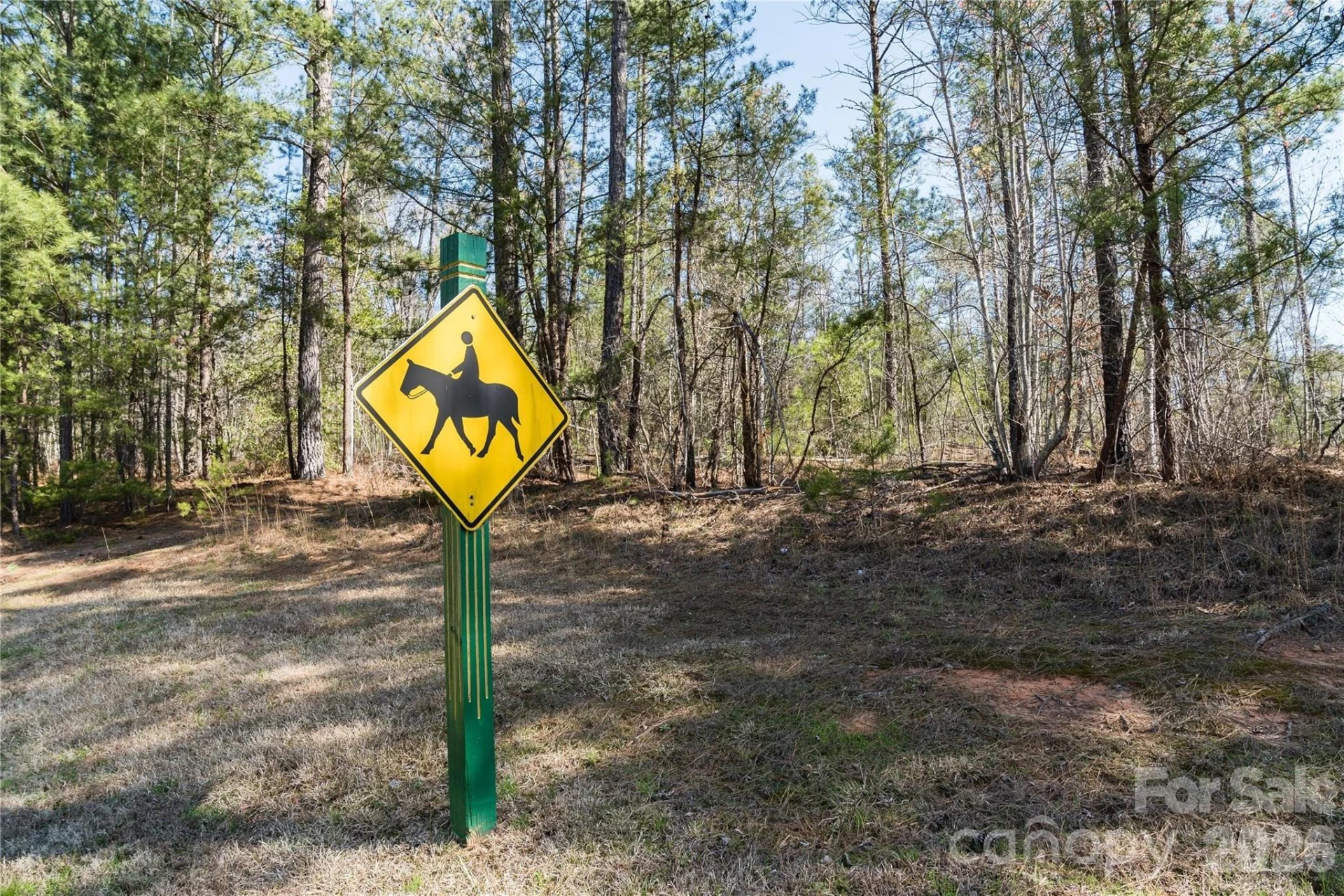 35 Mountain Parkway - Photo 5