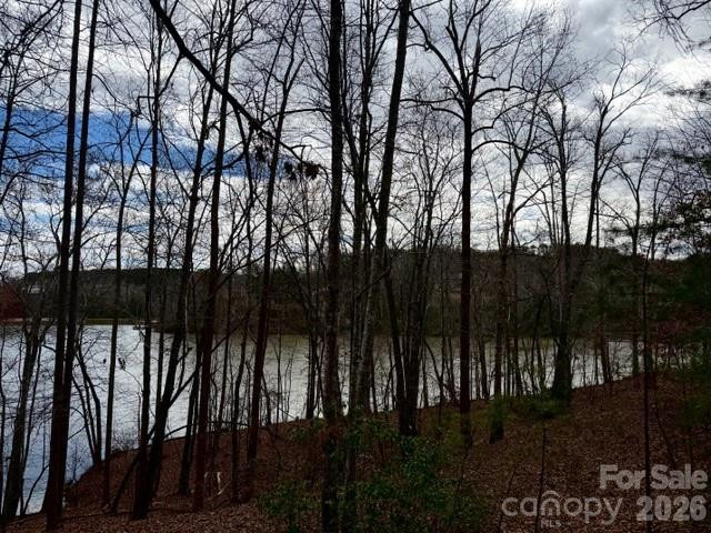 35 Mountain Parkway - Photo 9