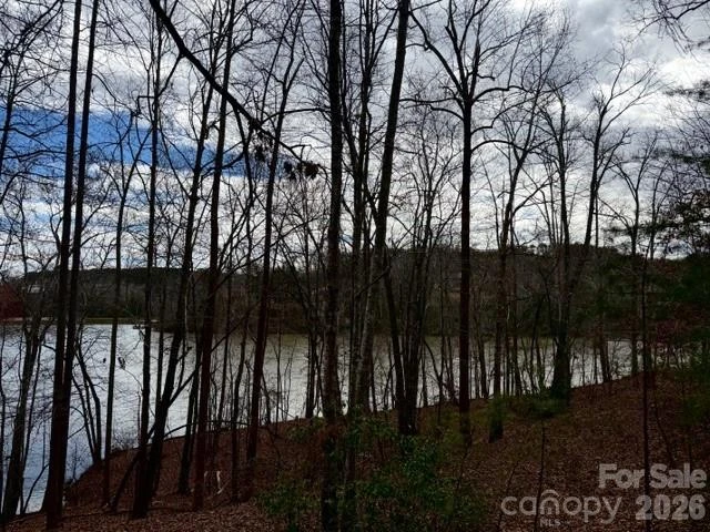 35 Mountain Parkway - Photo 9