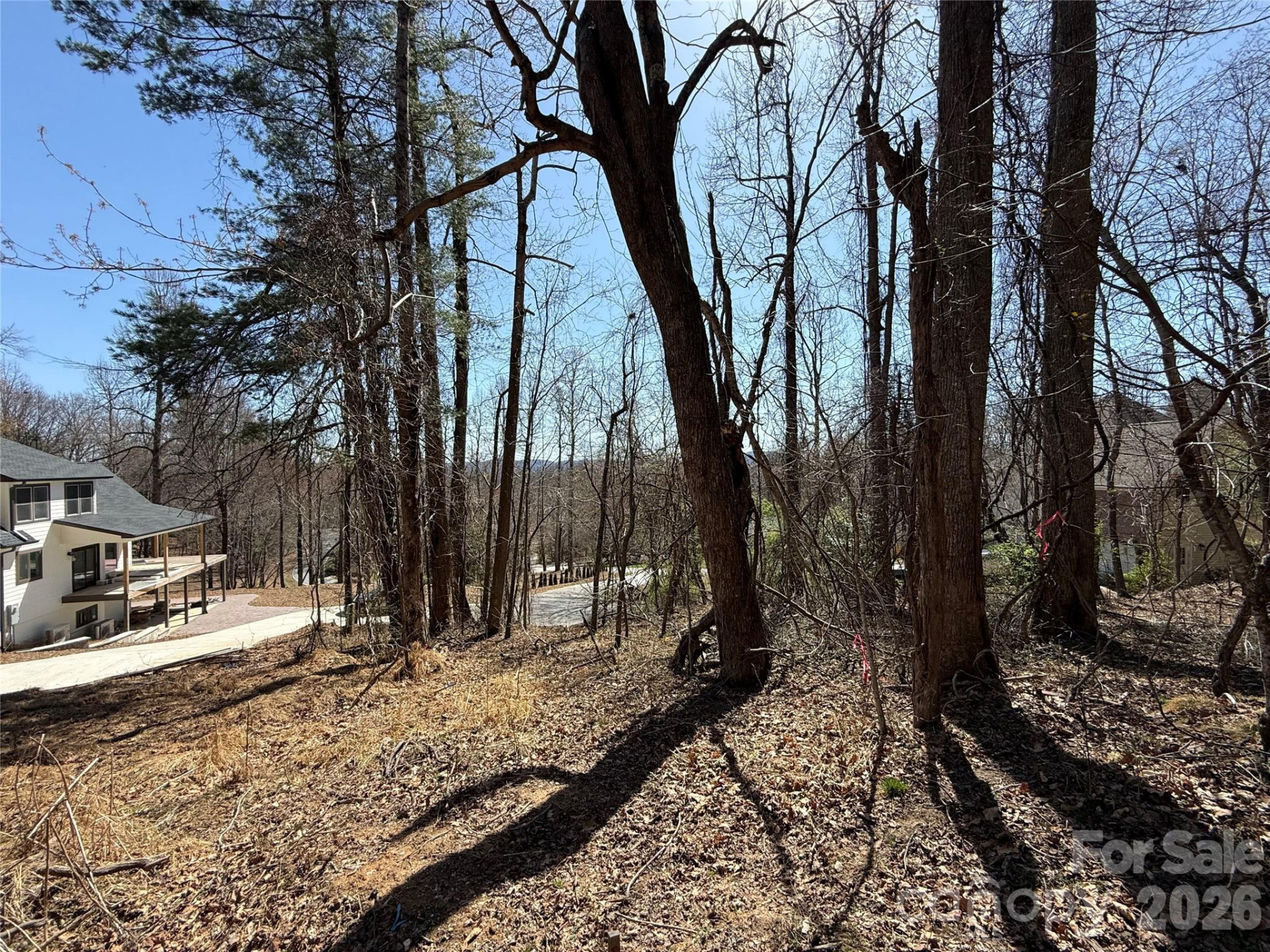 3 Fawn Turn Lane - Photo 2