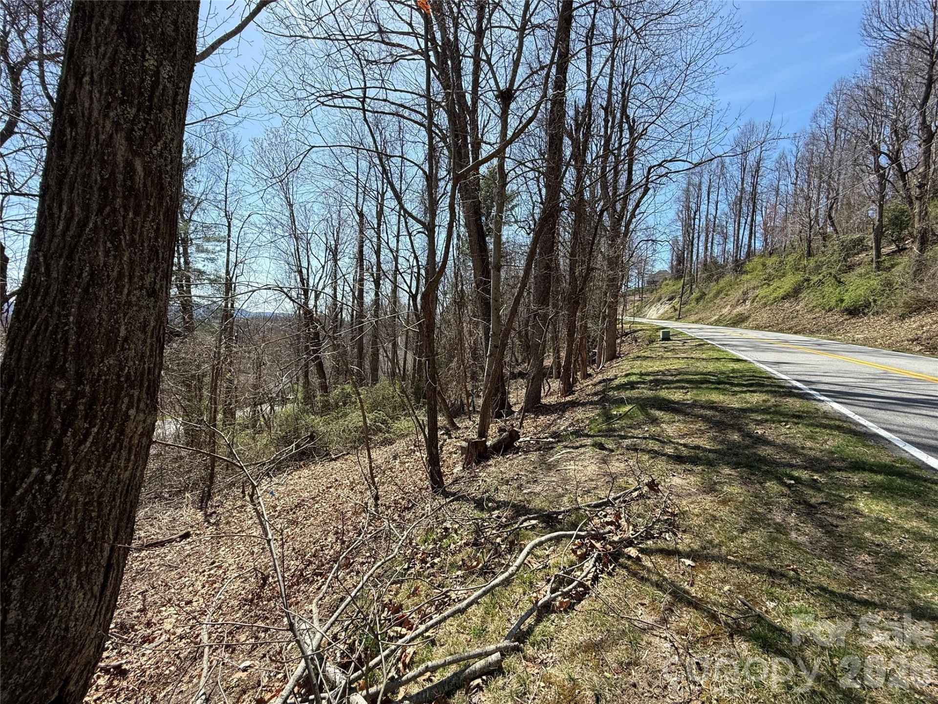 3 Fawn Turn Lane - Photo 11