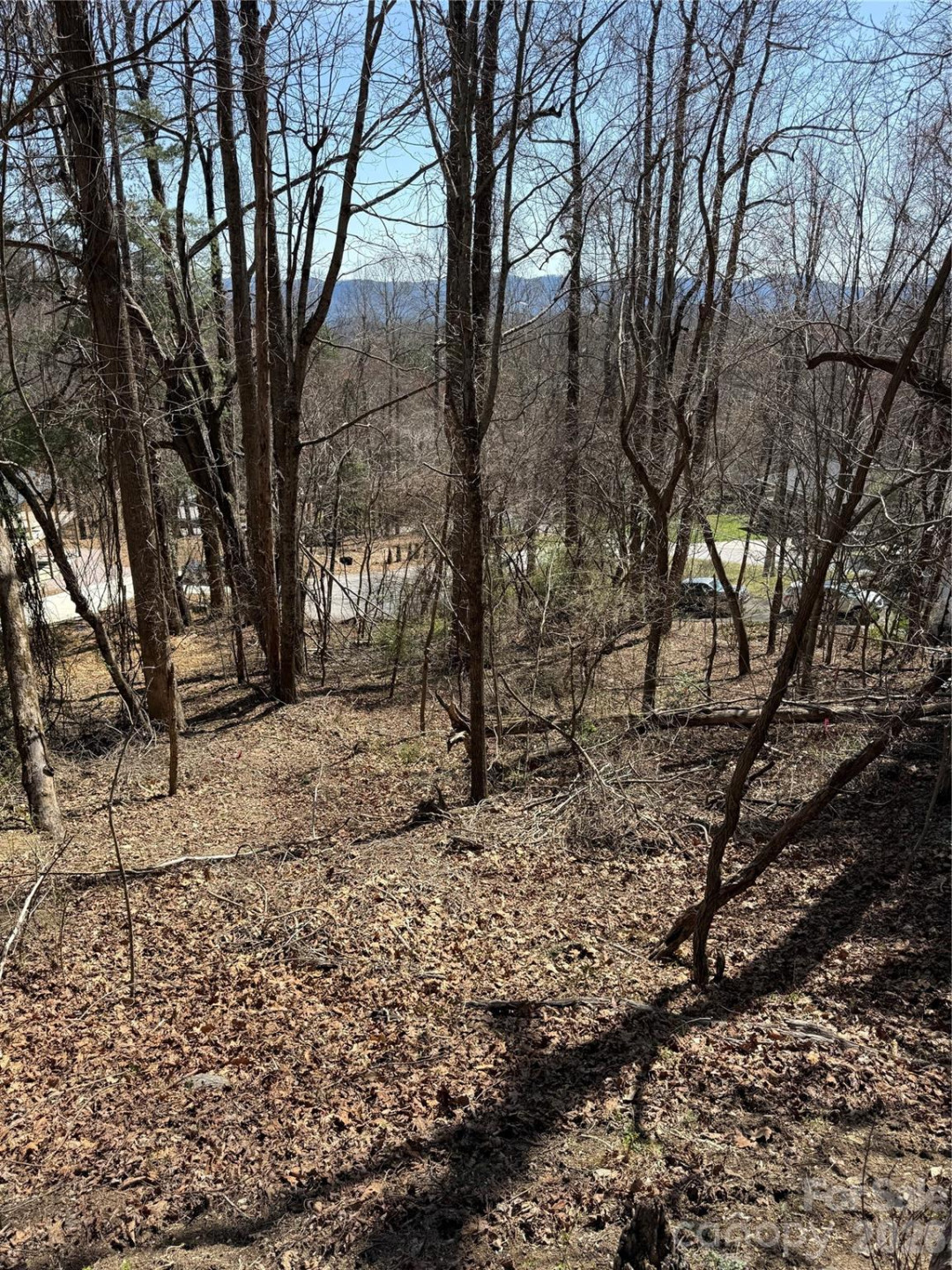 3 Fawn Turn Lane - Photo 14