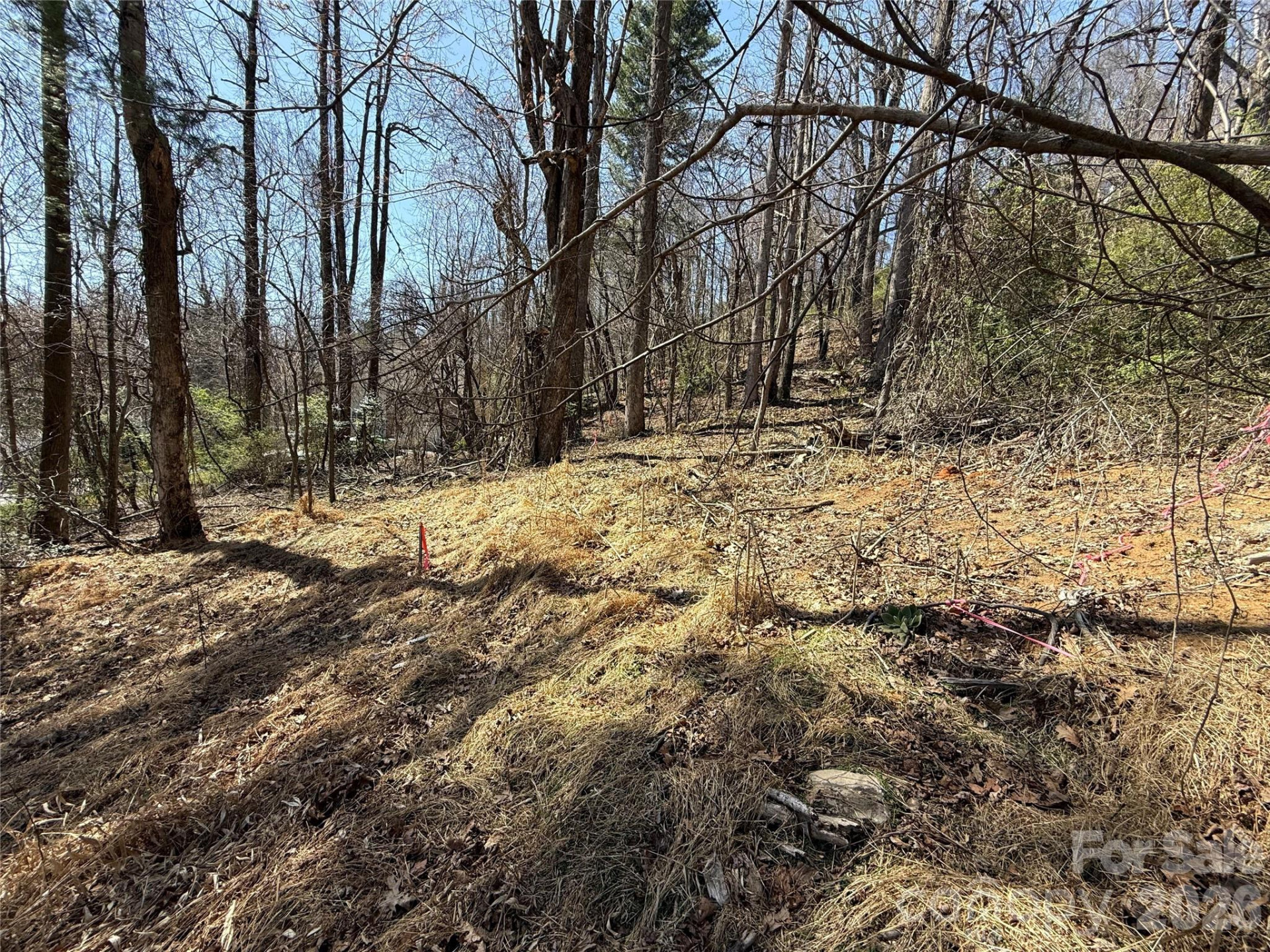 3 Fawn Turn Lane - Photo 8